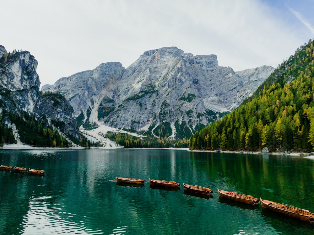 a group of boats floating on top of a lake