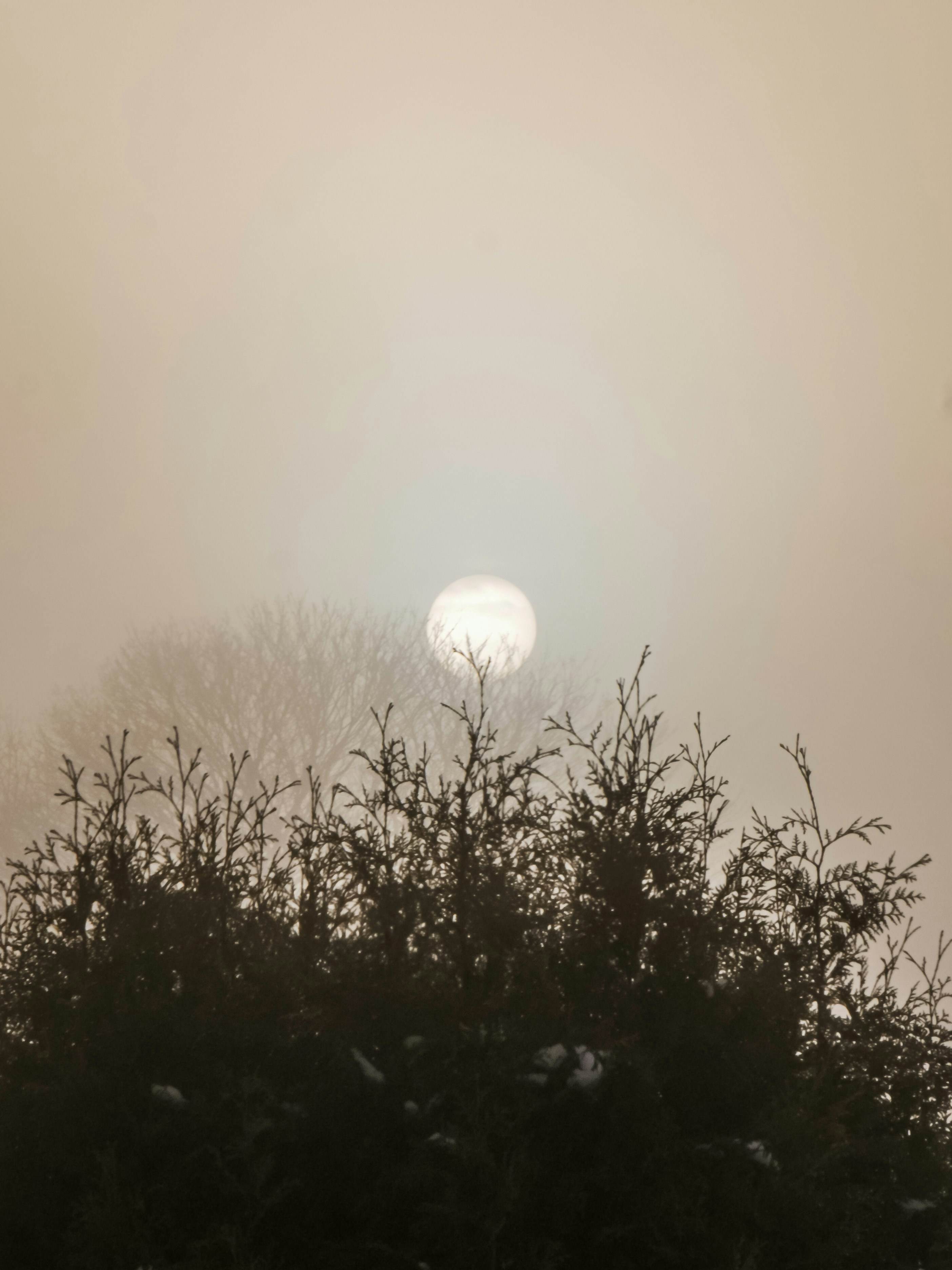 Photo by stripemedia