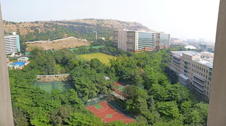 Tennis court and multipurpose lawn framed by tall trees and open sky.