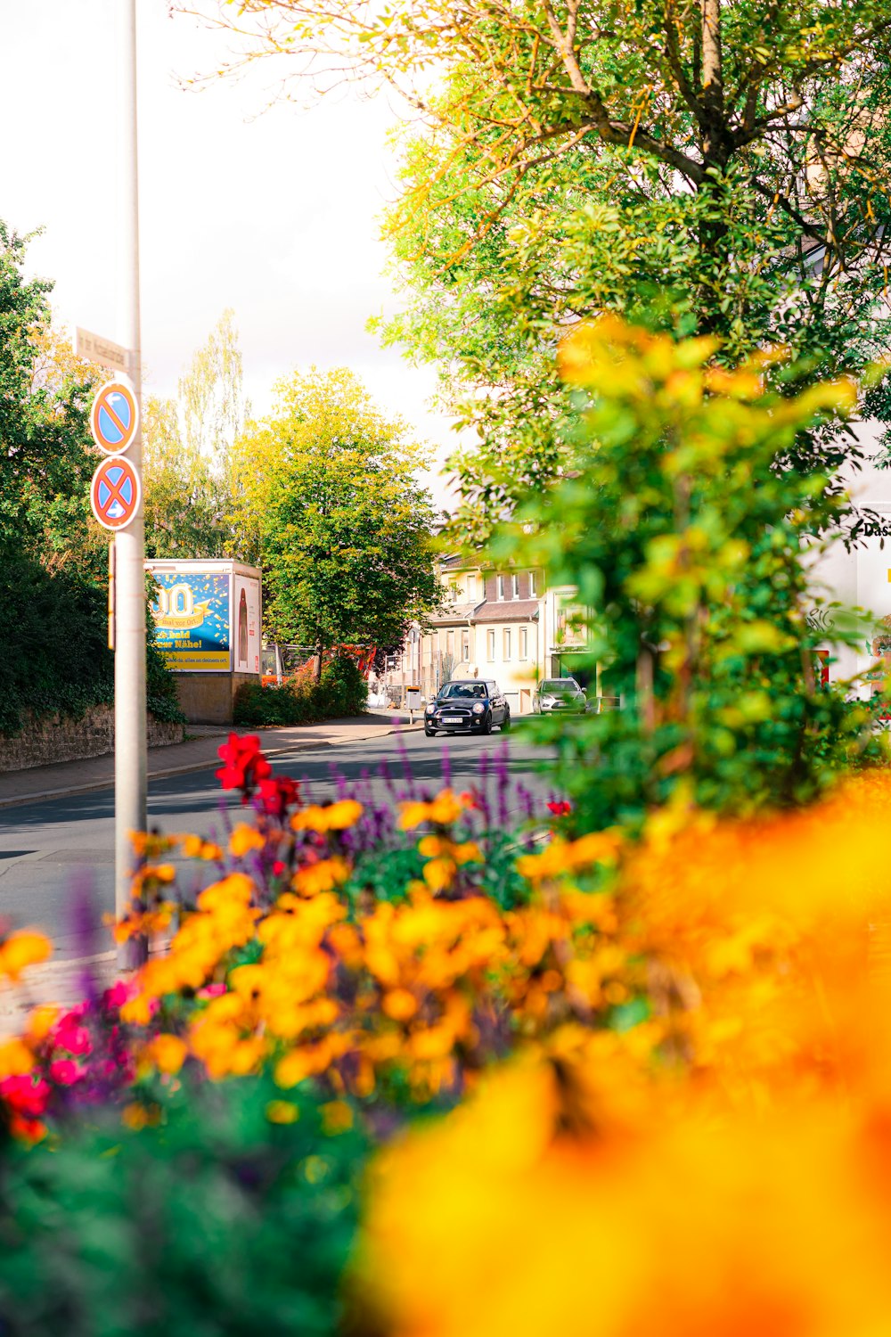 a street with a bunch of flowers on the side of the road