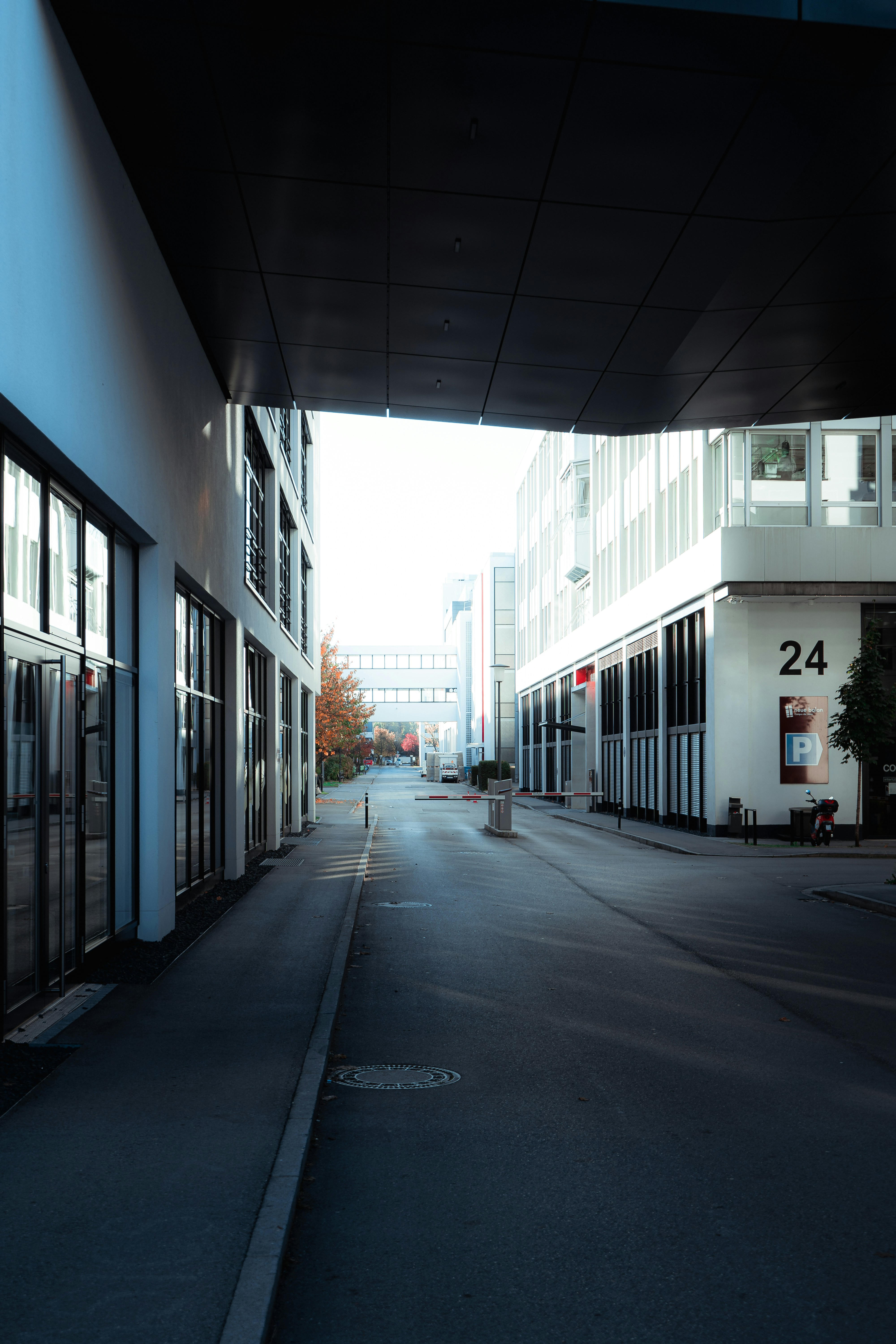 Photo by optikei