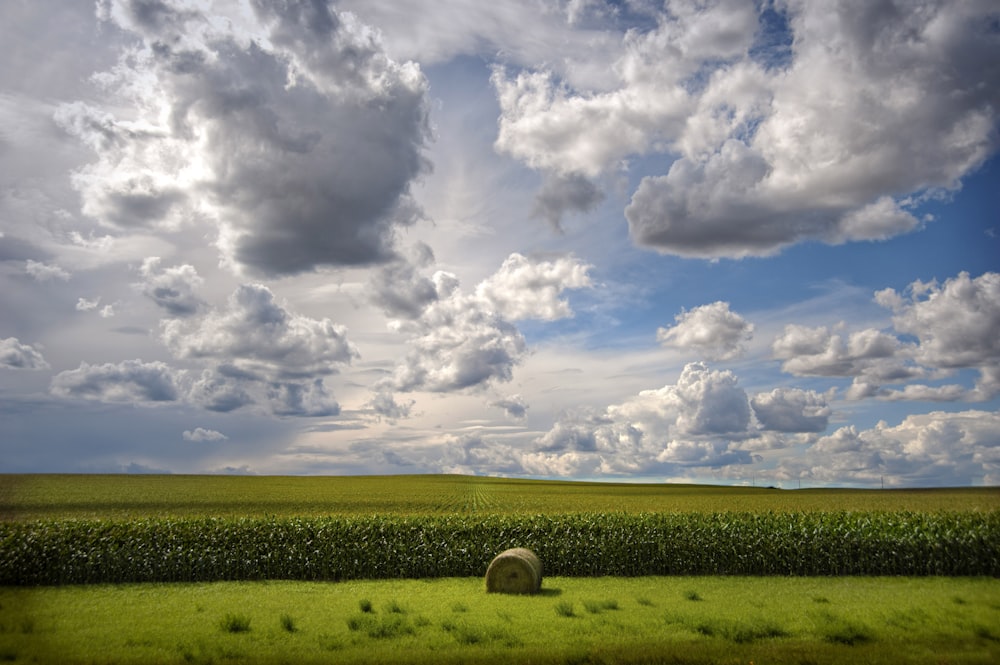 a field with a hay bail in the middle of it