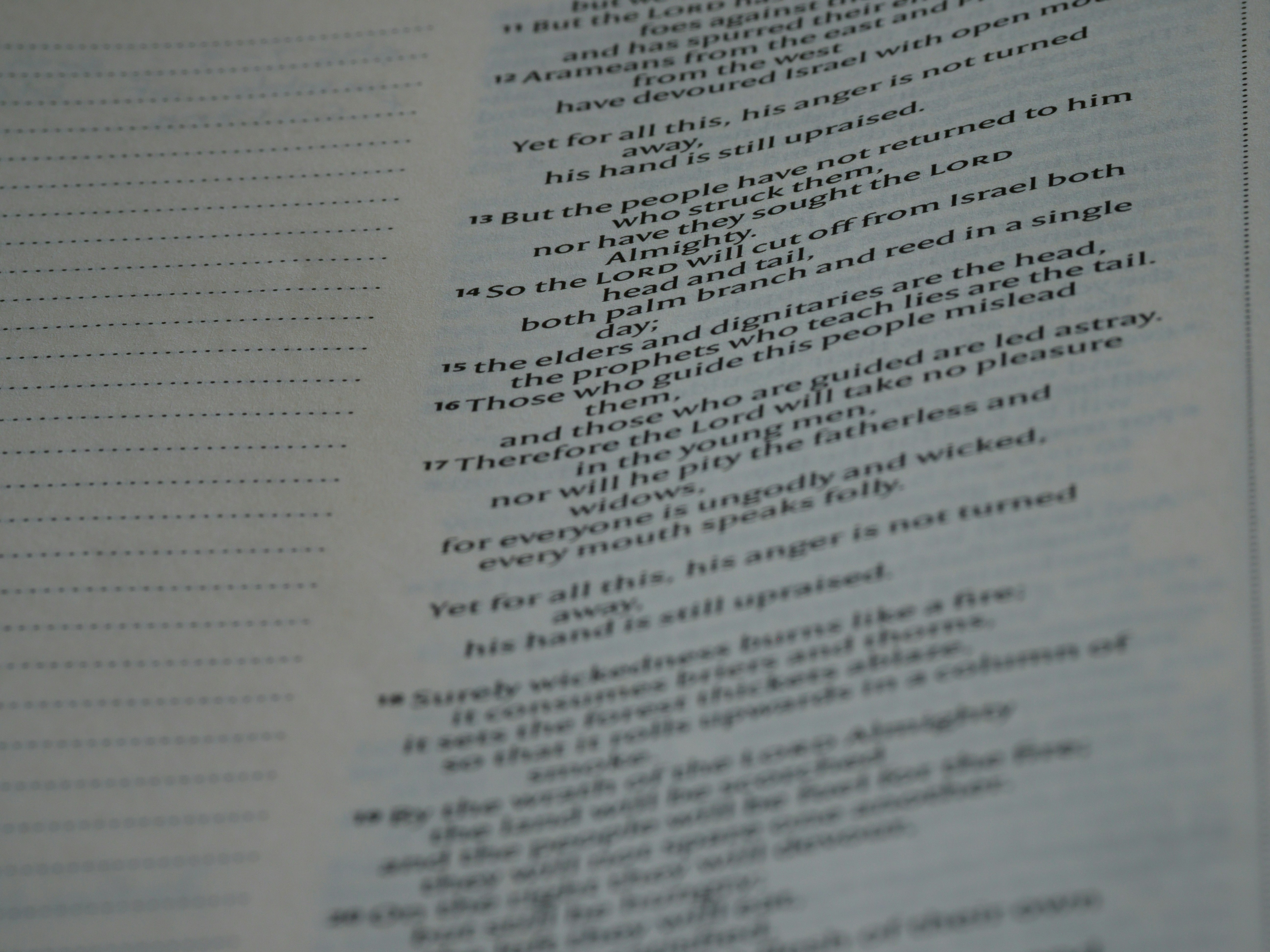 Photo by brett_jordan