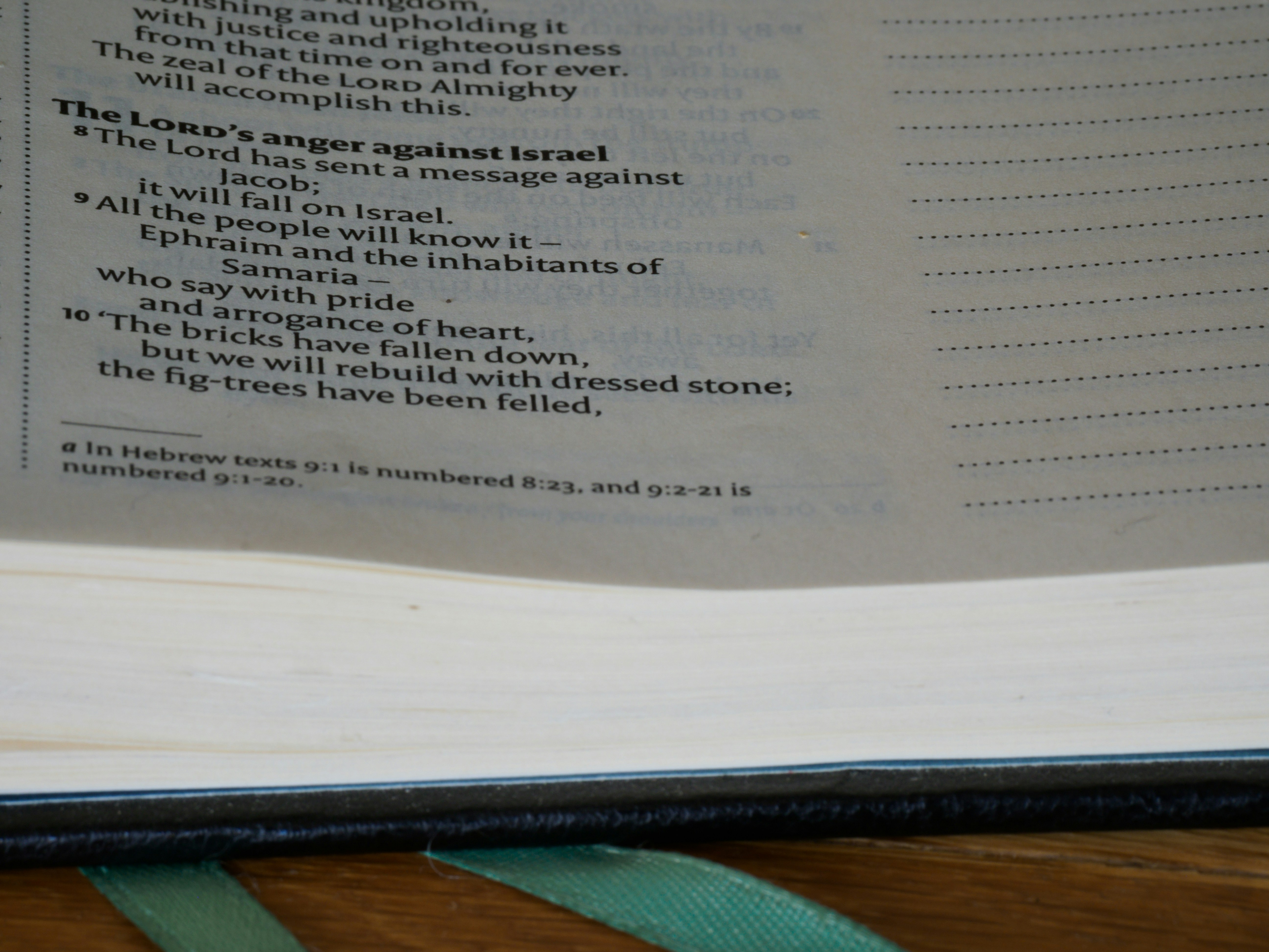 Photo by brett_jordan