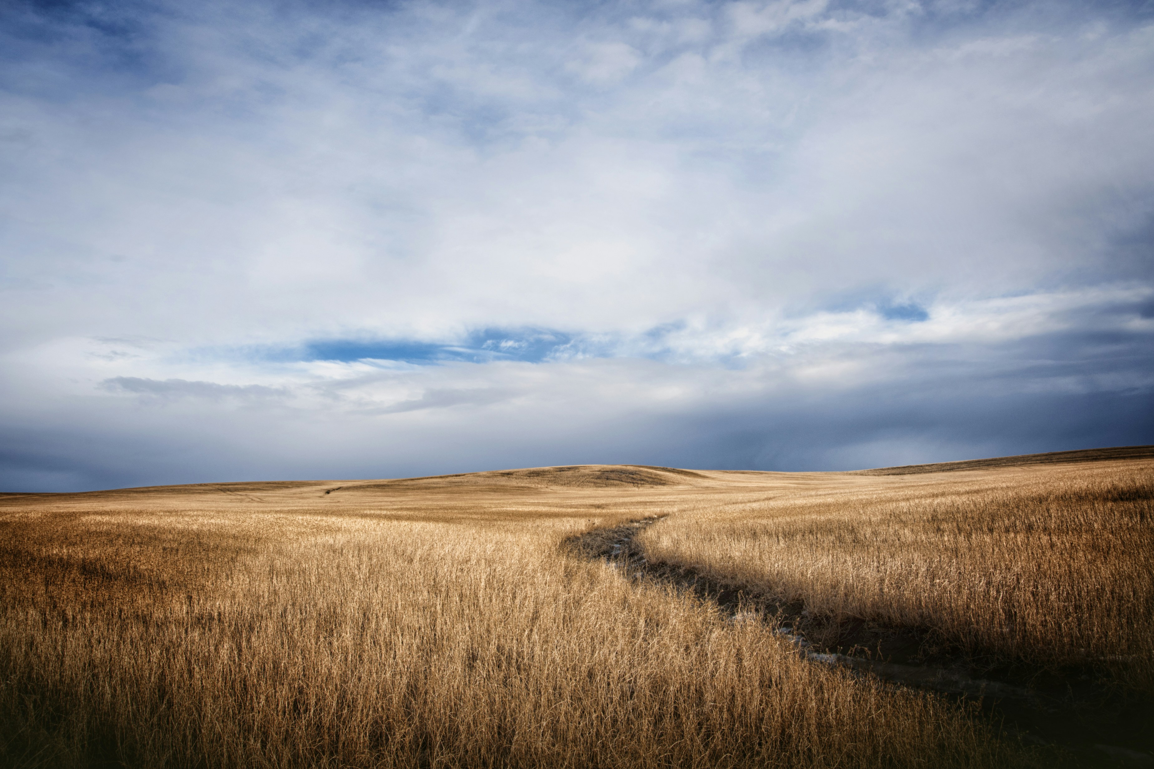 a field with a dirt path in the middle of it