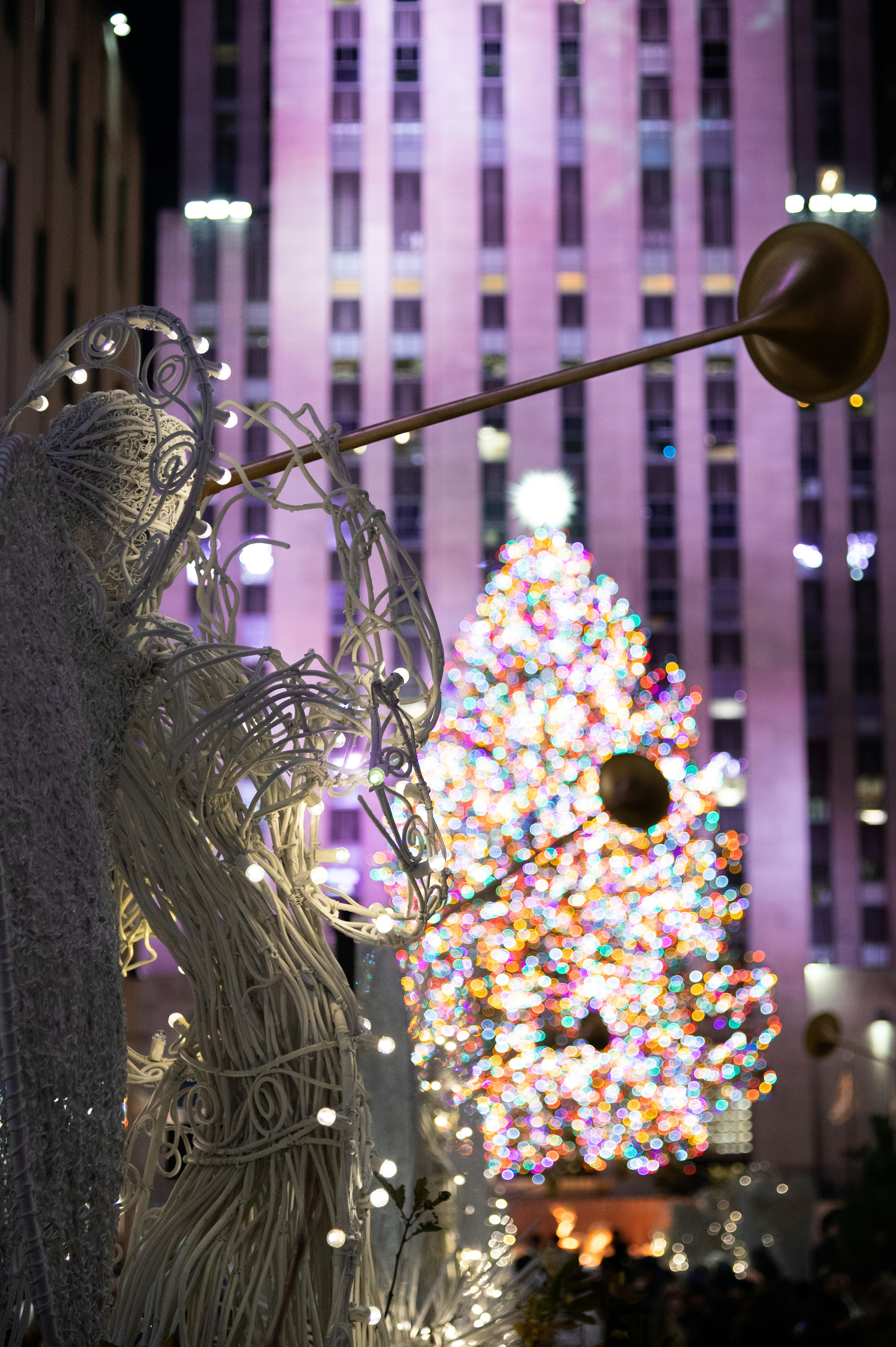 a lighted christmas tree in the middle of a city