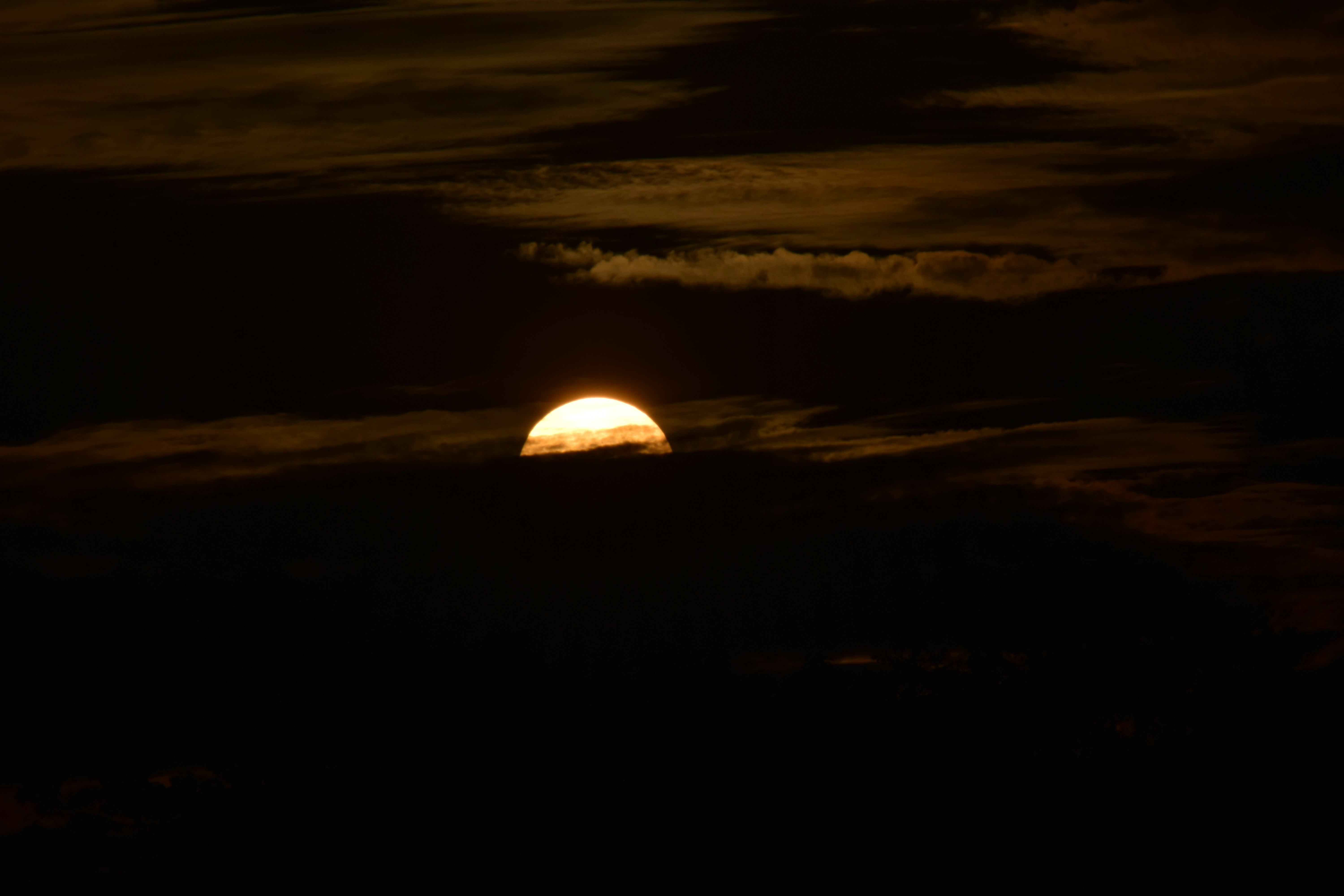 Photo by photographyworld