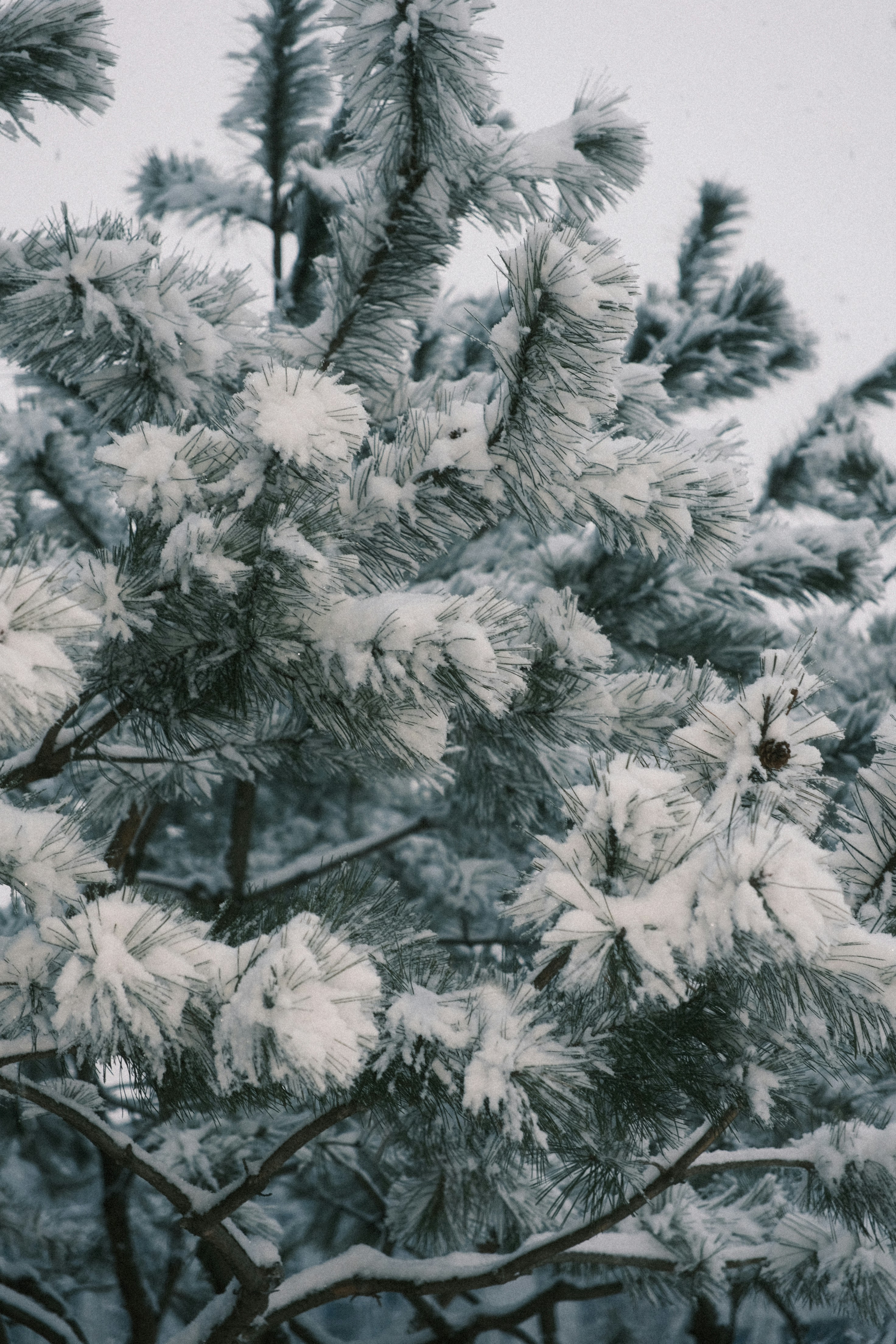 Photo by undermyarchive