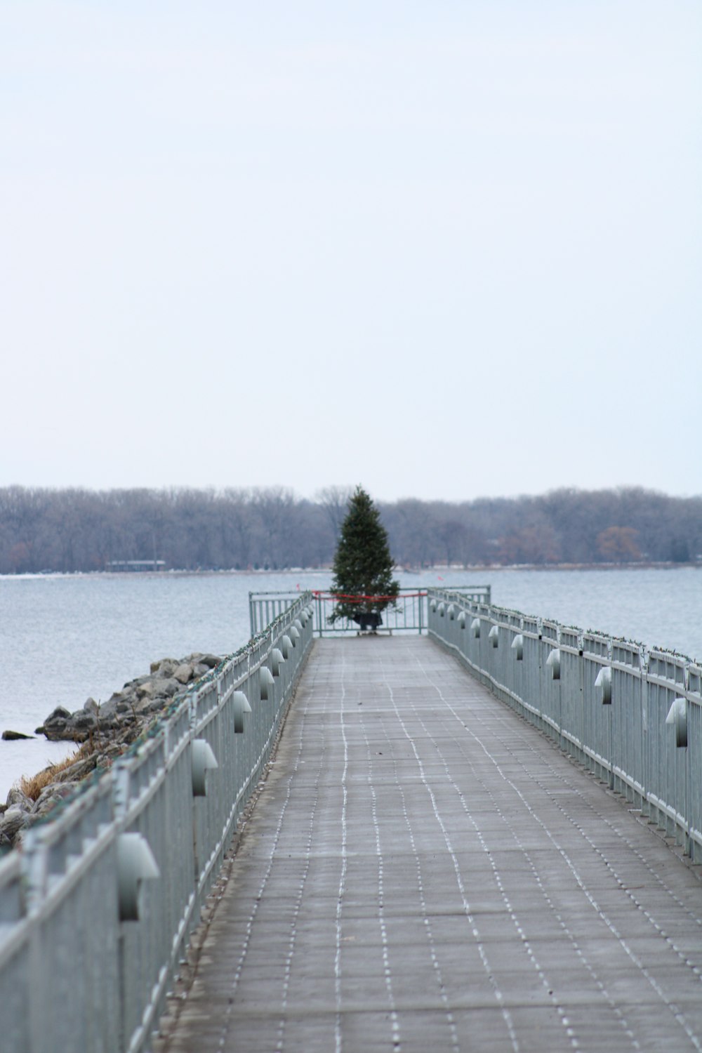 a walkway leading to the water with a christmas tree on top of it