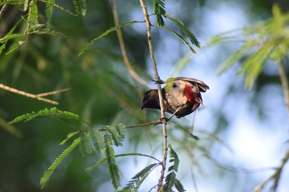 a small bird perched on a tree branch