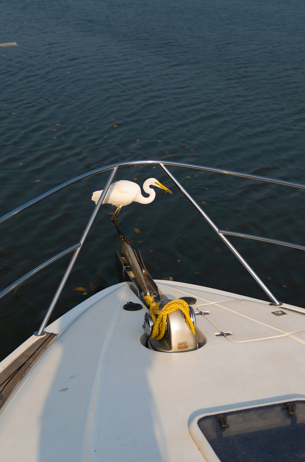 a white bird sitting on the bow of a boat