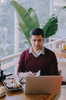 A person is seated at a wooden table in a cafe, working on a laptop. In front of them, there is a tray with two small dishes of sauces and two churros, along with a piece of cake on a plate. Large green plant leaves are in the background, adding a touch of nature to the indoor setting. The atmosphere suggests a relaxed and casual environment, with ample natural light streaming in through large windows.