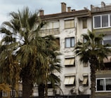 A residential building with weathered walls and peeling paint, featuring several satellite dishes mounted on the facade. Palm trees with large fronds are in the foreground, partially obscuring the view of the building. The windows have closed shutters, and there are multiple chimney stacks visible on the roof.