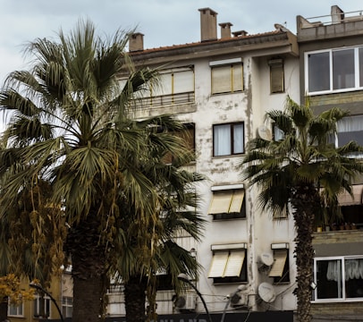 A residential building with weathered walls and peeling paint, featuring several satellite dishes mounted on the facade. Palm trees with large fronds are in the foreground, partially obscuring the view of the building. The windows have closed shutters, and there are multiple chimney stacks visible on the roof.