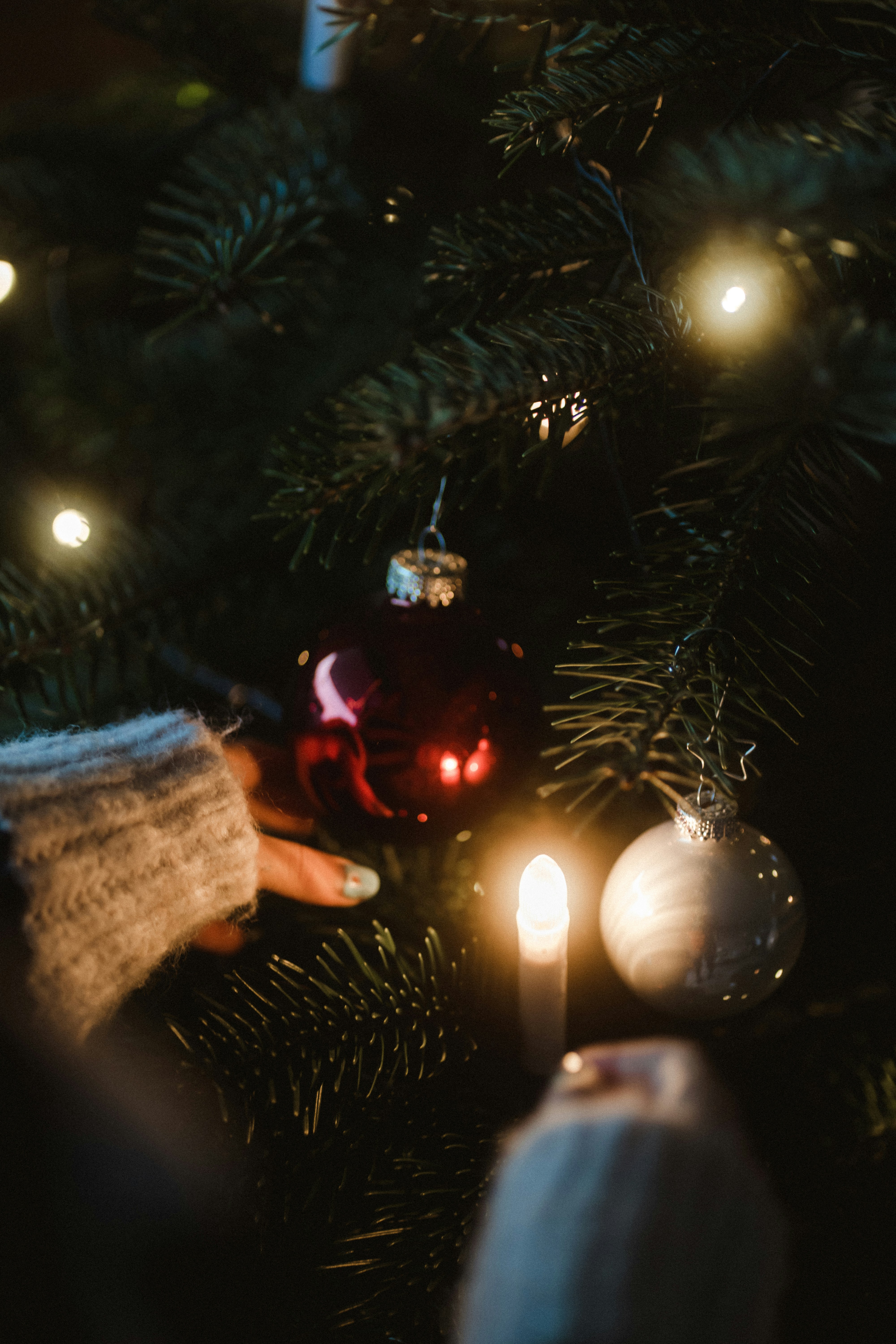 Photo by daniela_matthies