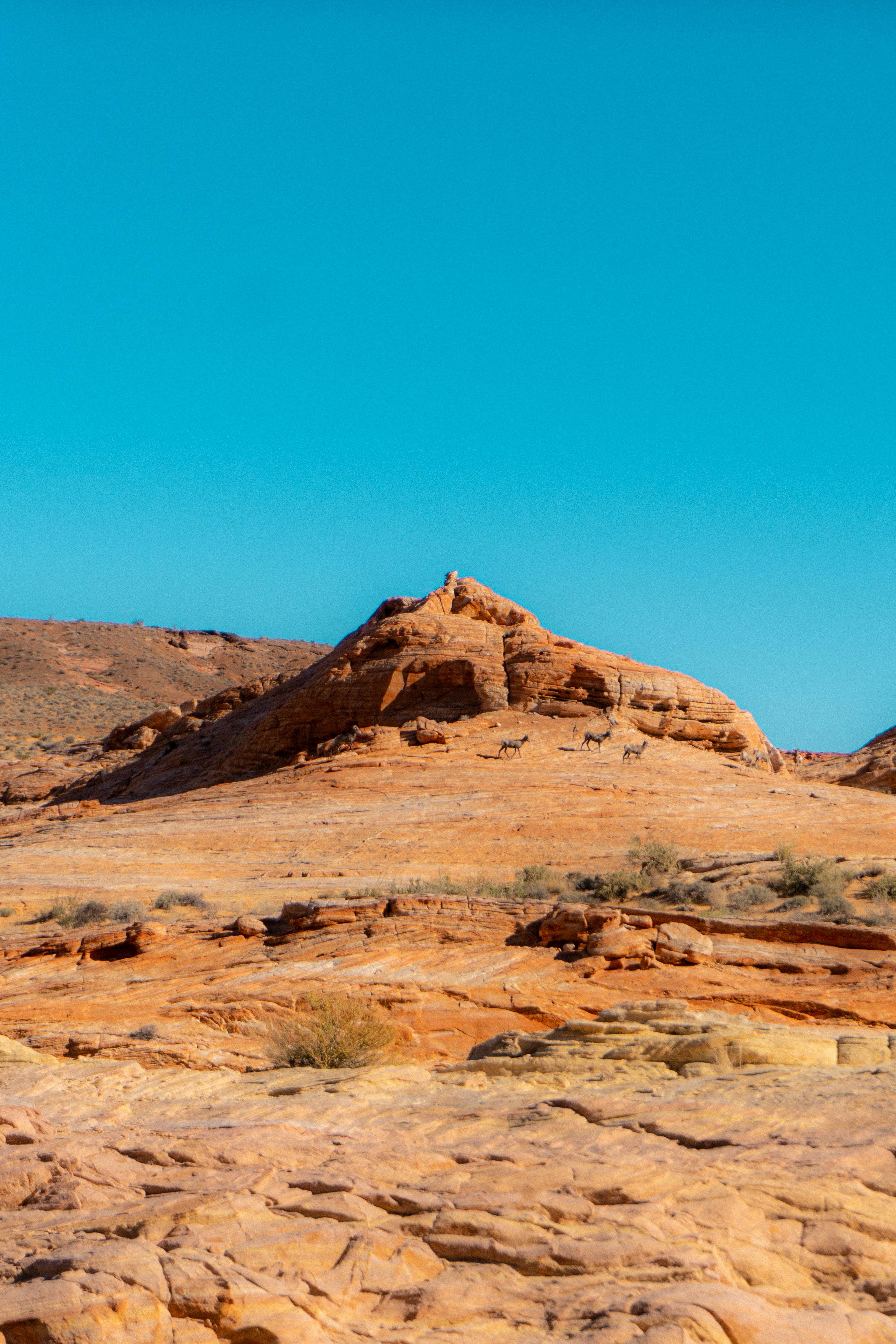 Photo by carterledford