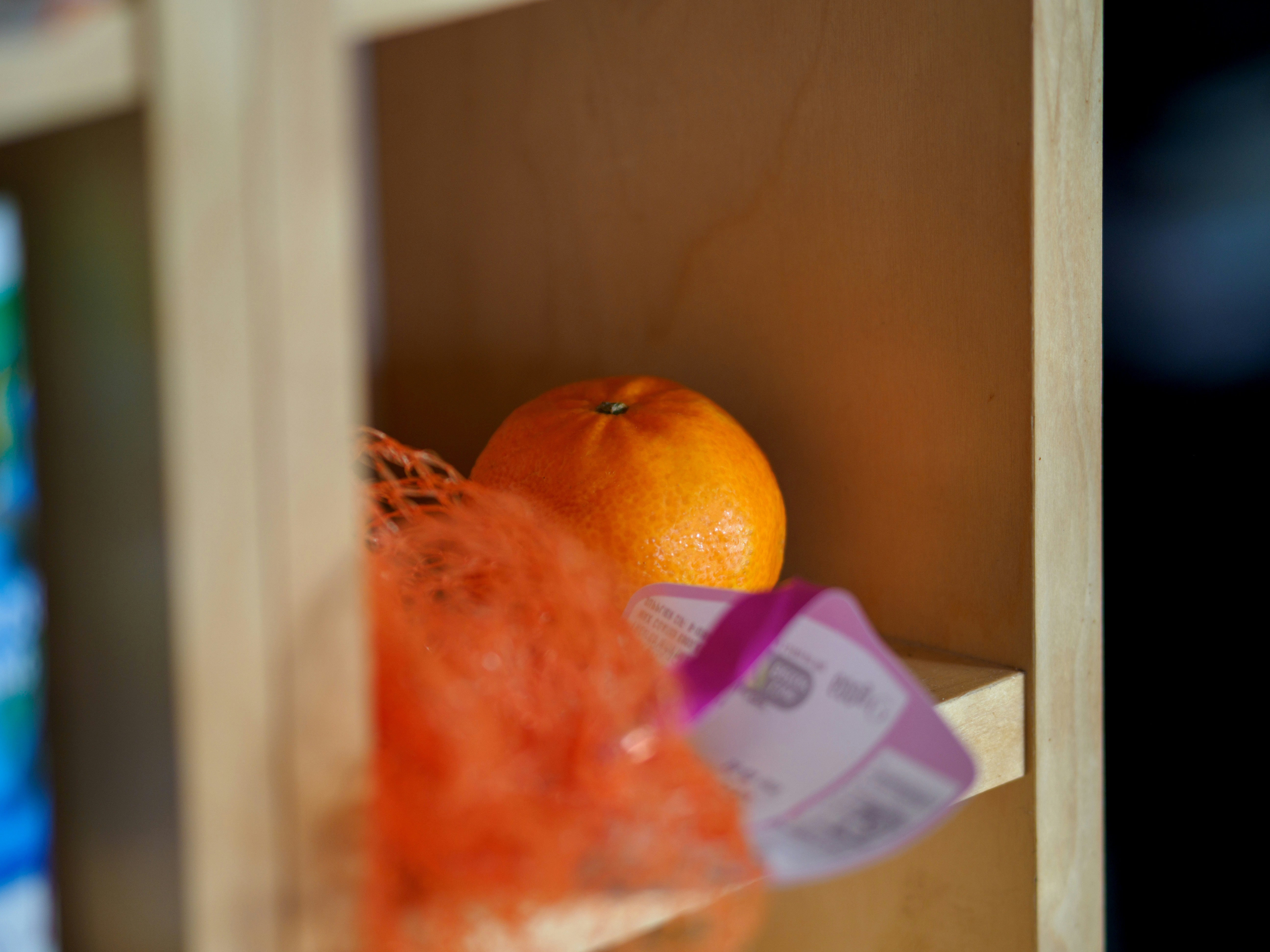 طعام قطط طبيعي