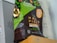 A package of whole bean coffee from Café Direct, featuring a green and brown design with text indicating that it is organic and from Peru, specifically named Machu Picchu. The packaging also includes details on its flavor profile, such as full-bodied and dark chocolate.