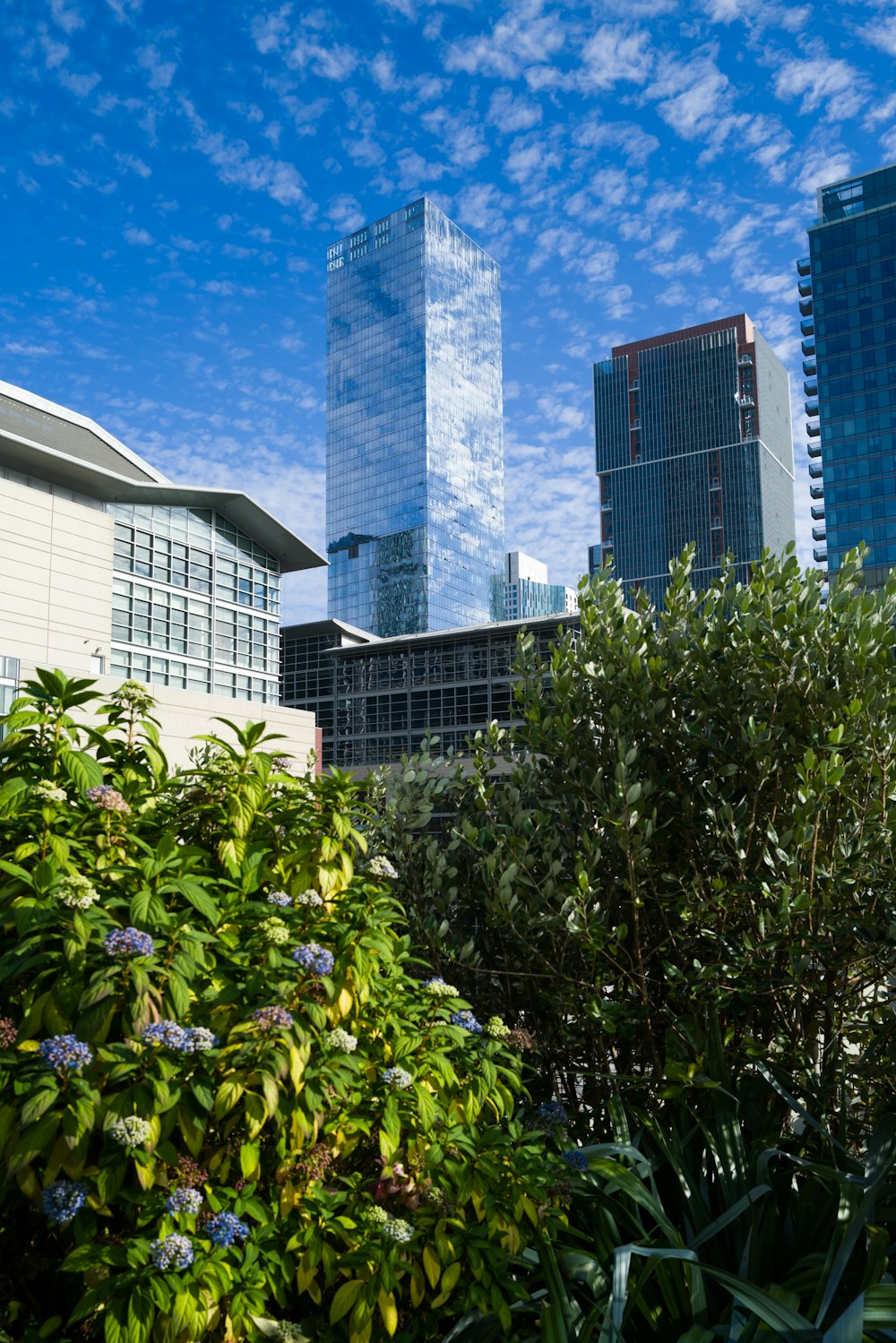 a view of a city with skyscrapers in the background