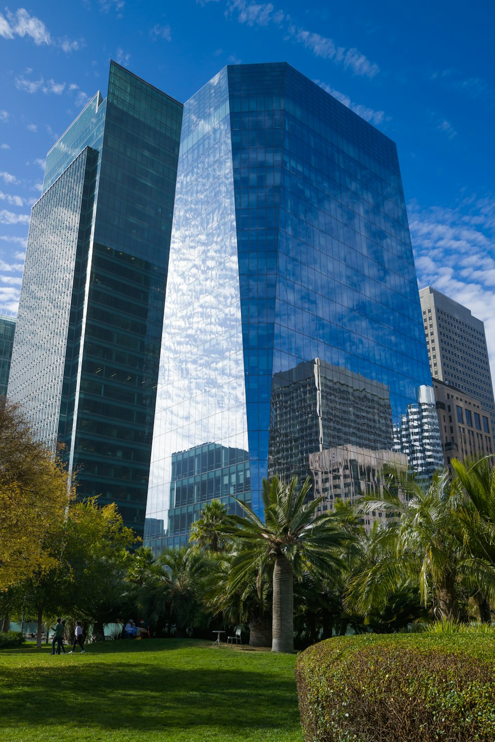 a grassy area in front of tall buildings