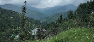 A lush green valley with rolling hills and dense forests under a cloudy sky. There are apple trees with visible fruit in the foreground, and scattered houses are visible amidst the greenery.
