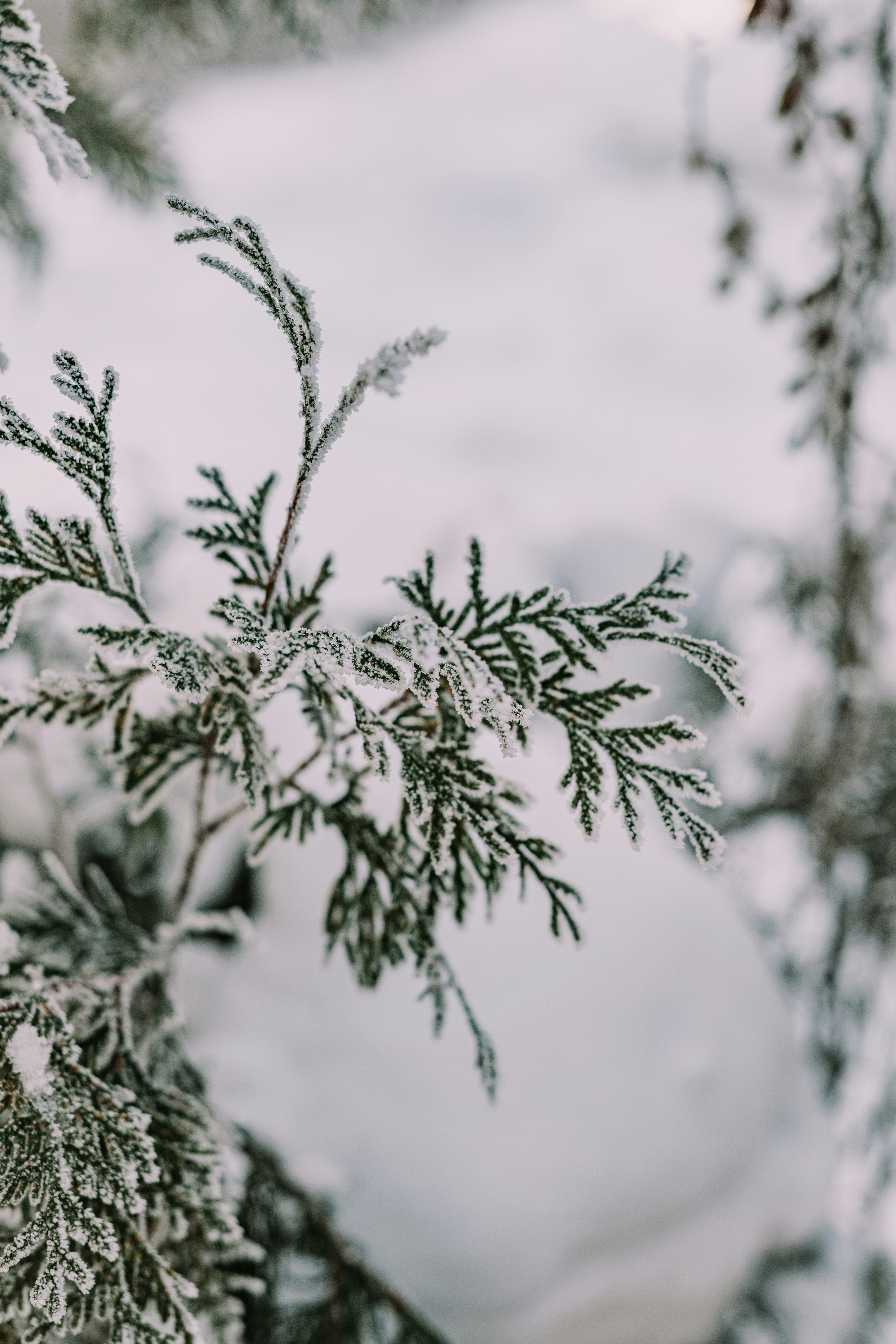 Photo by anitaaustvika