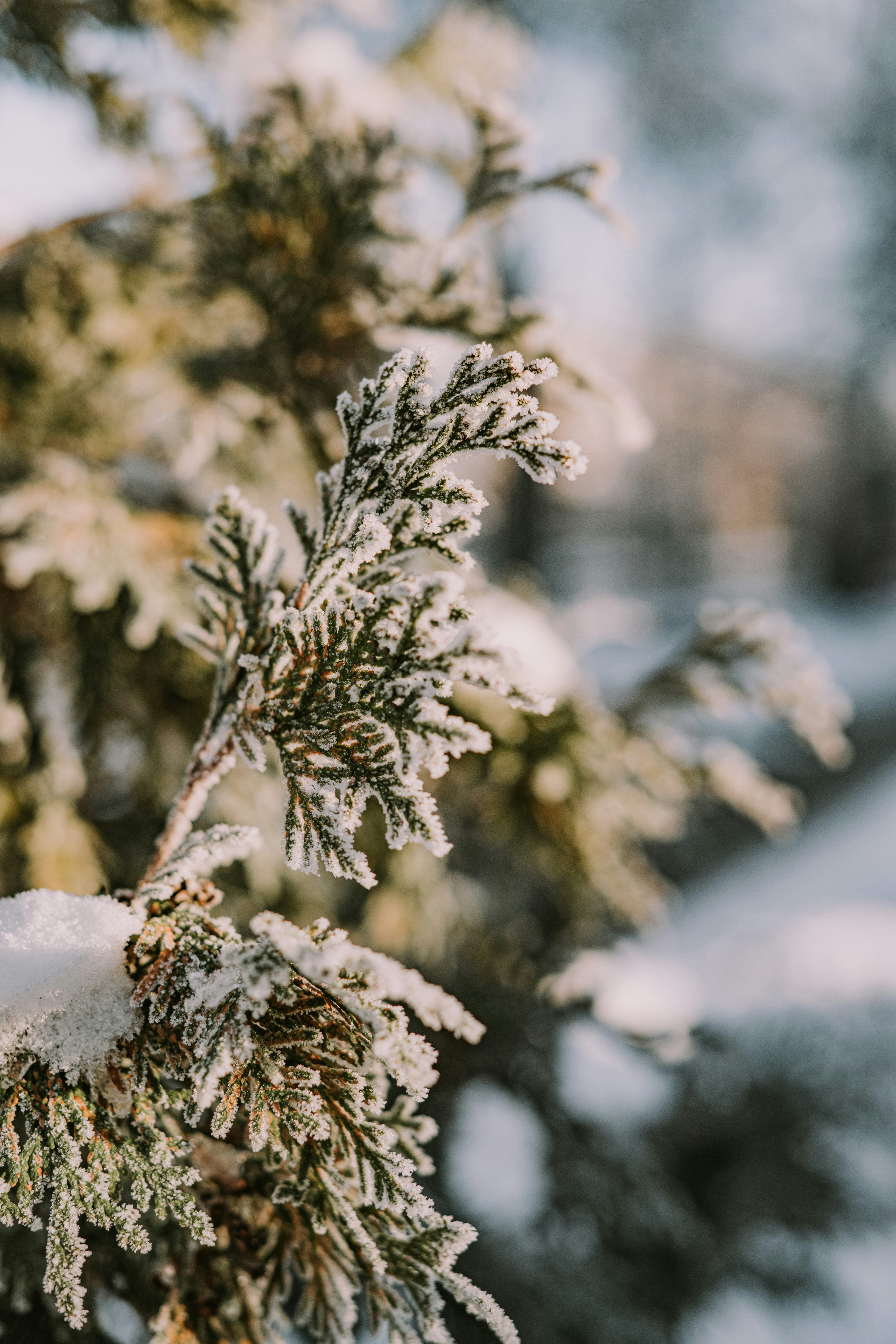 Photo by anitaaustvika