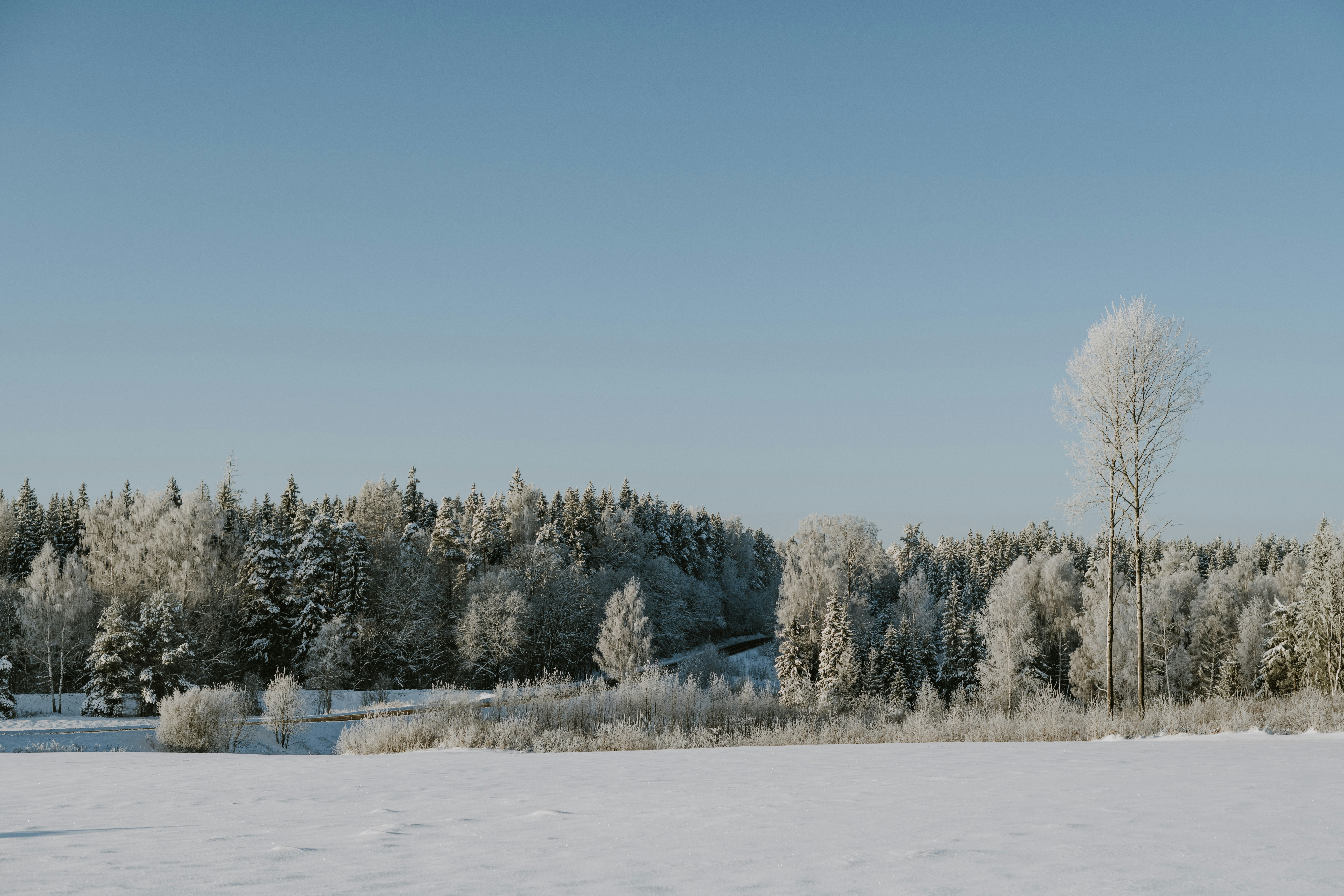 Photo by anitaaustvika