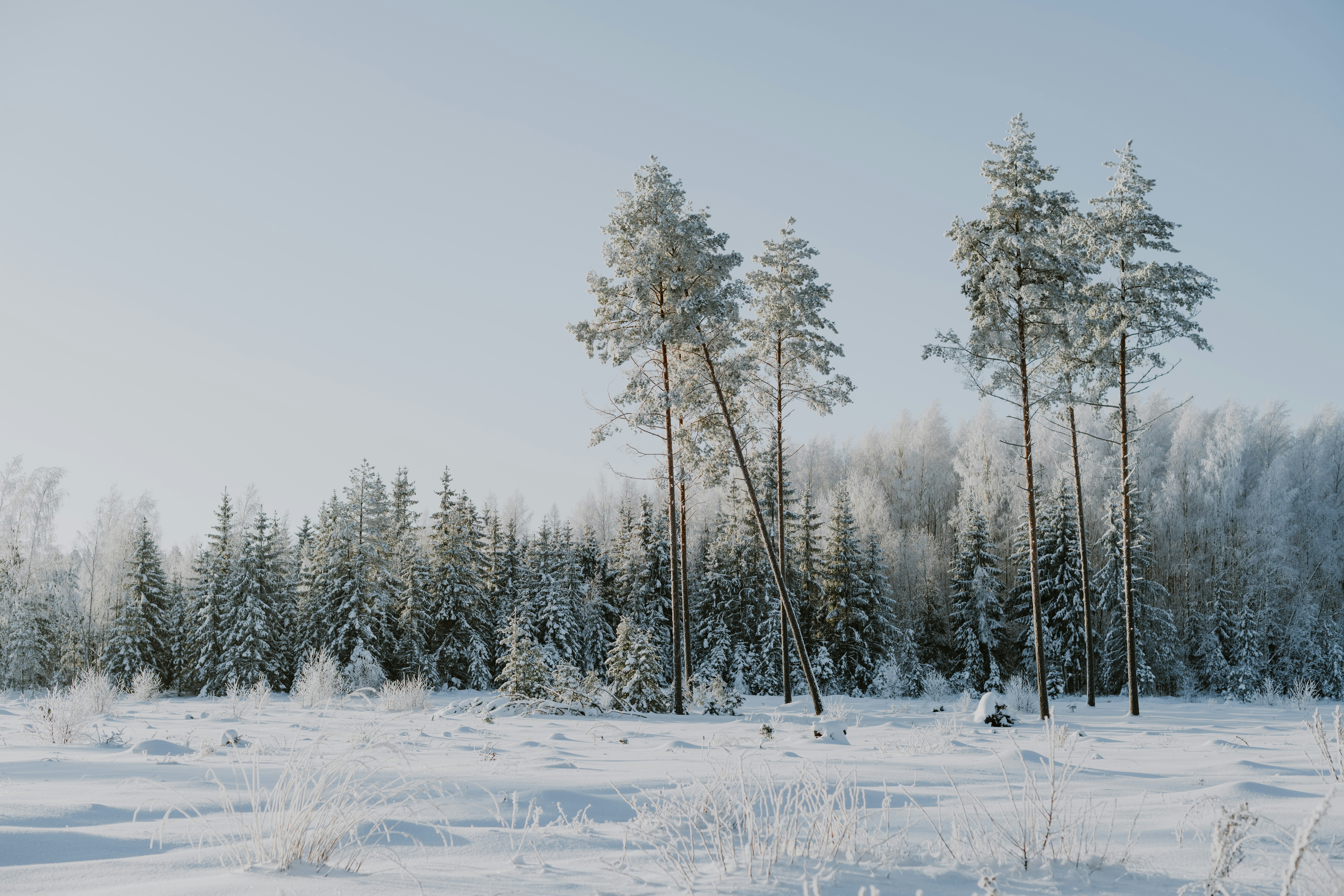 Photo by anitaaustvika