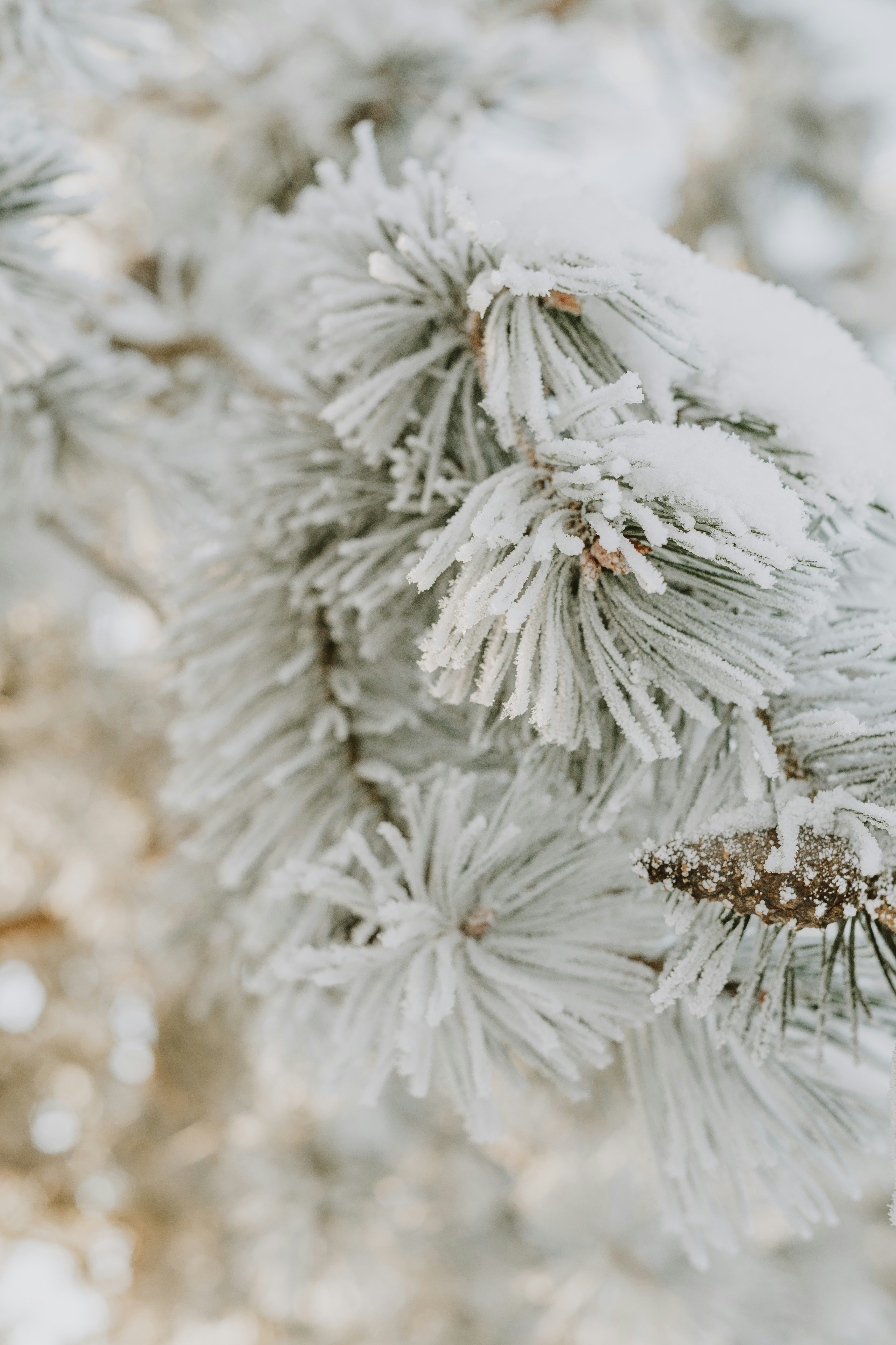 Photo by anitaaustvika