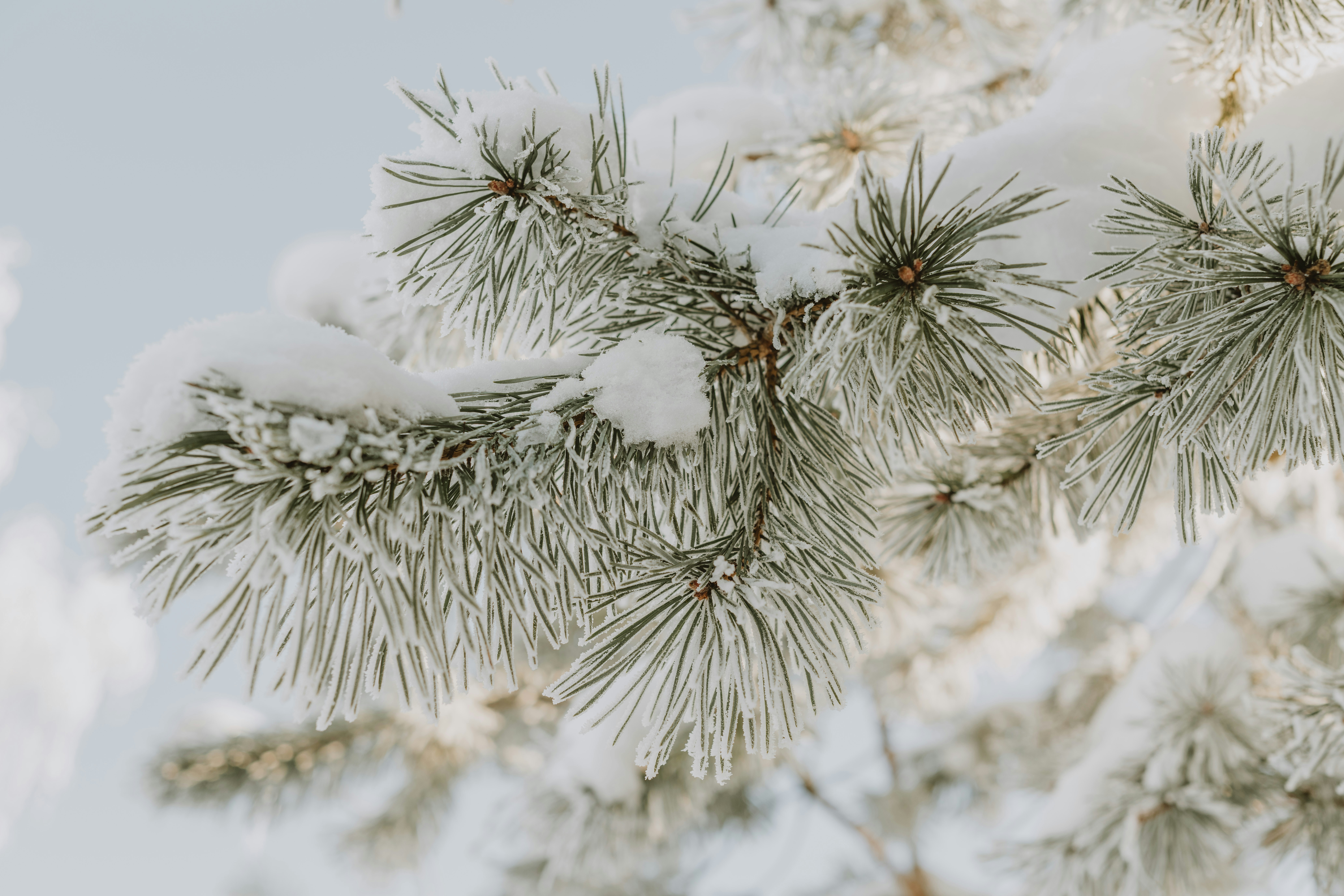 Photo by anitaaustvika