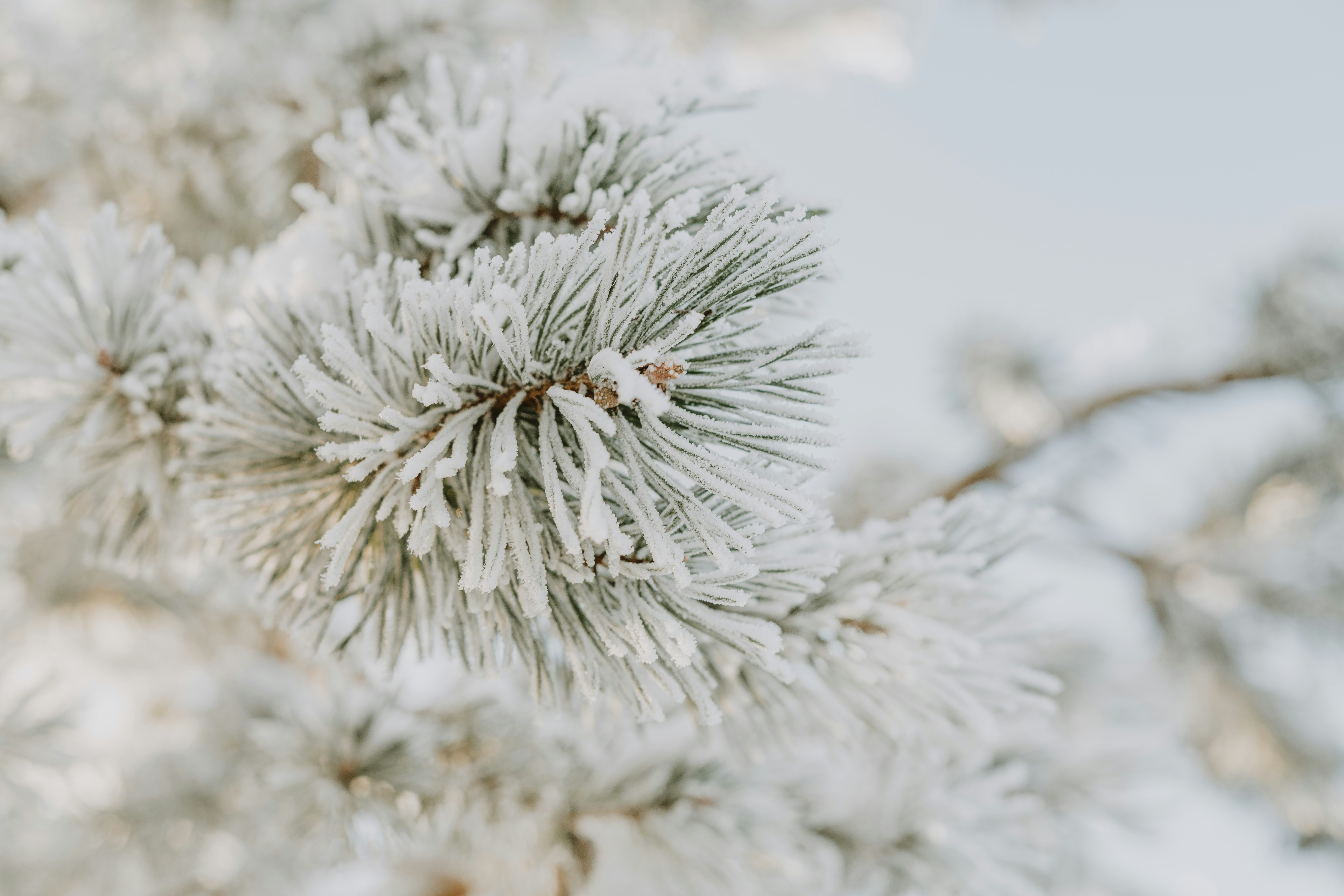 Photo by anitaaustvika