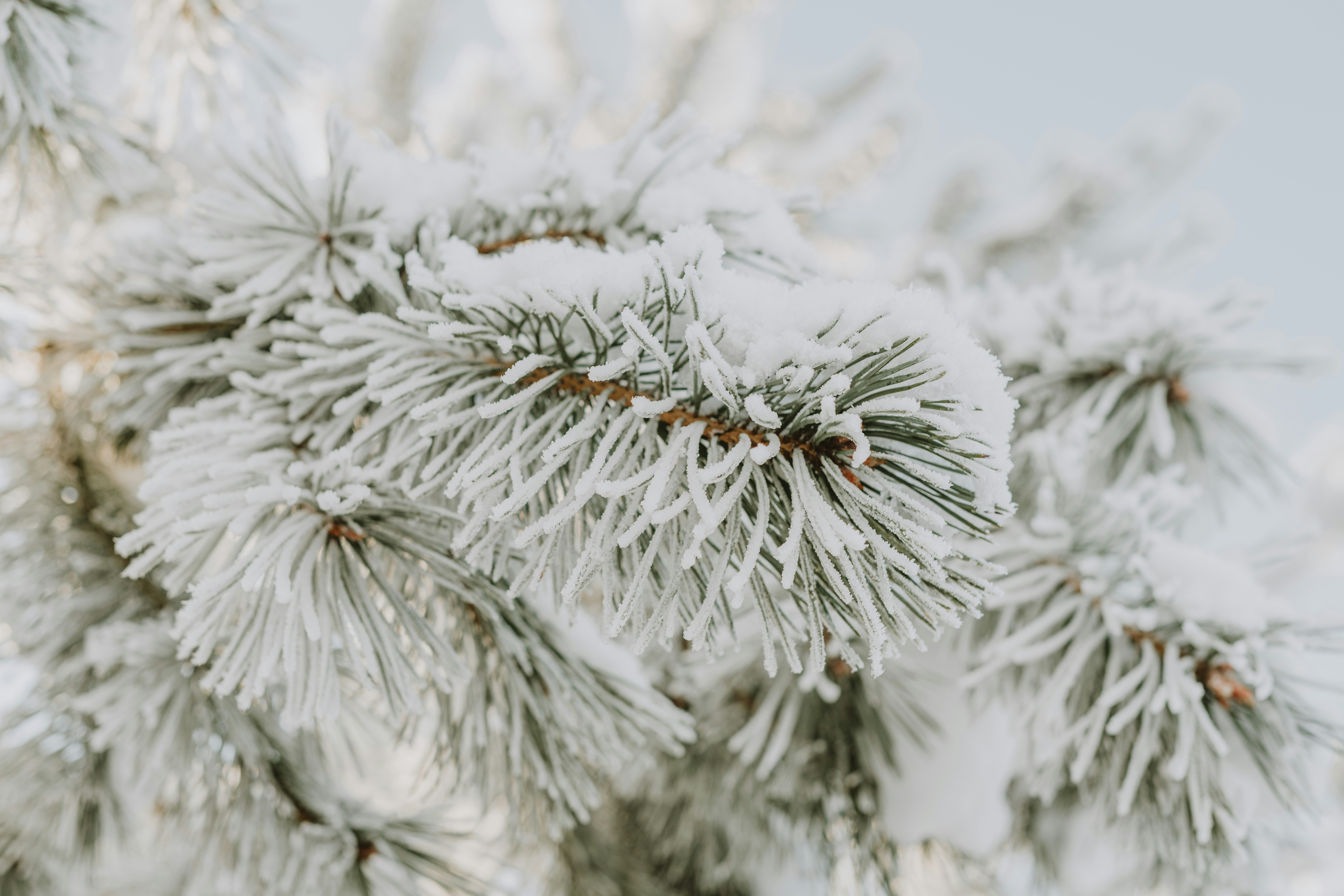 Photo by anitaaustvika