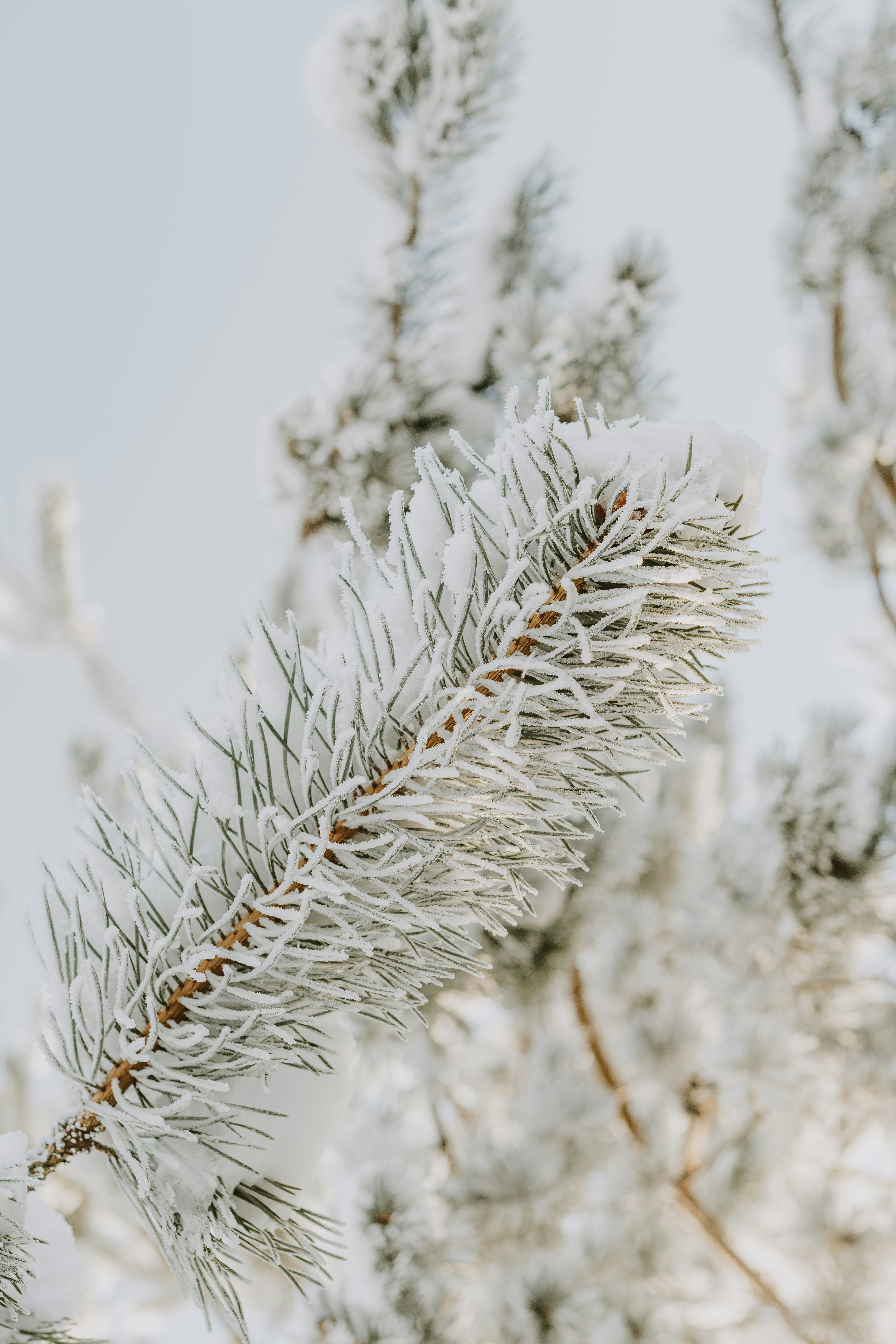 Photo by anitaaustvika