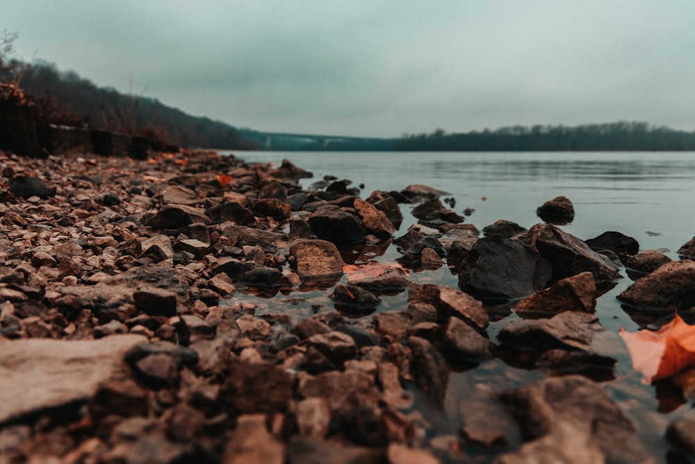 an orange umbrella sitting on top of a rocky beach