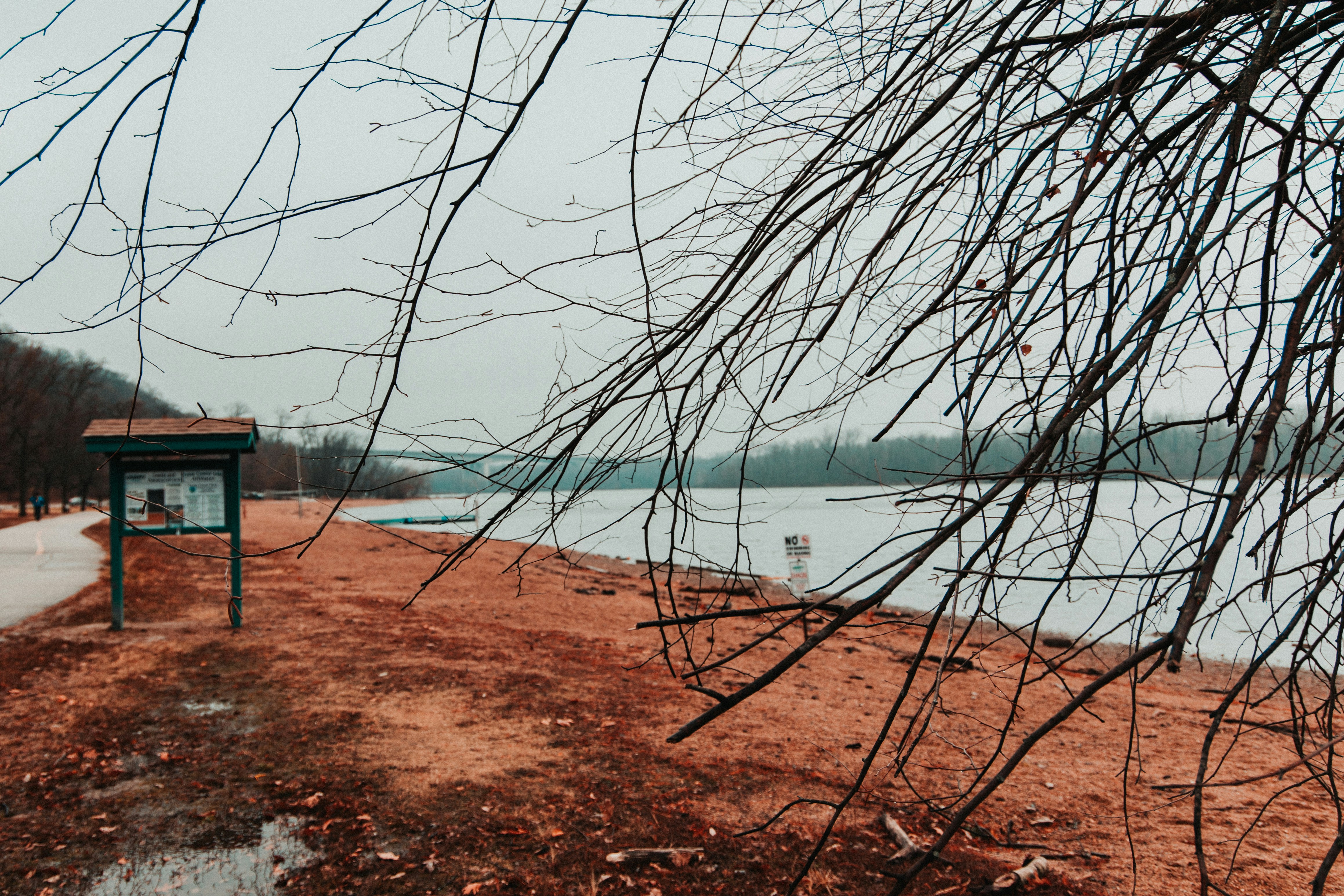 a bench sitting on top of a sandy beach next to a body of water
