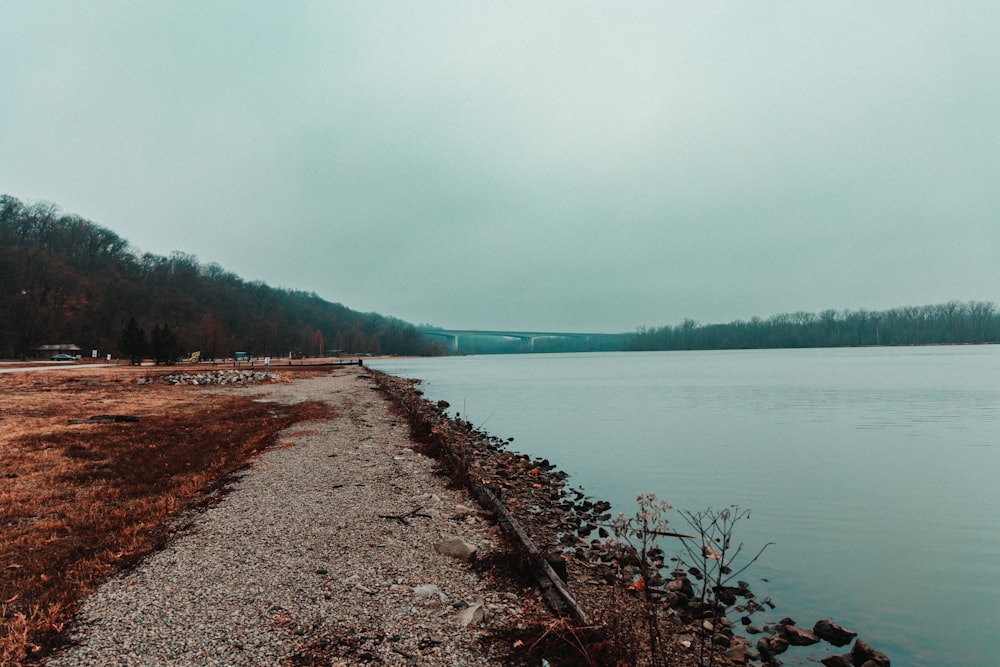 a body of water sitting next to a lush green forest