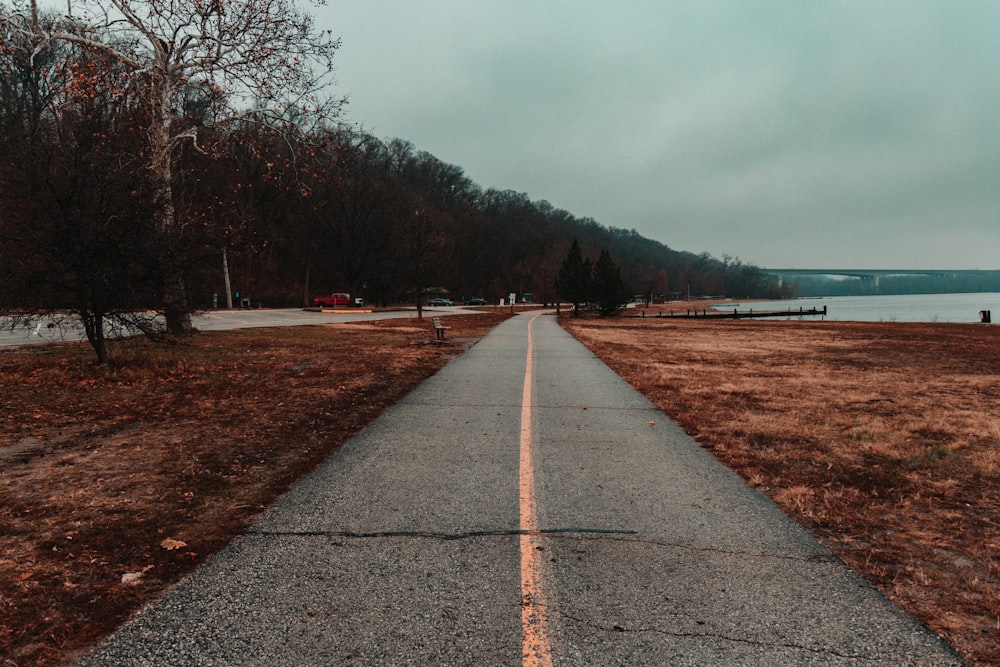 a paved road with a lake in the background