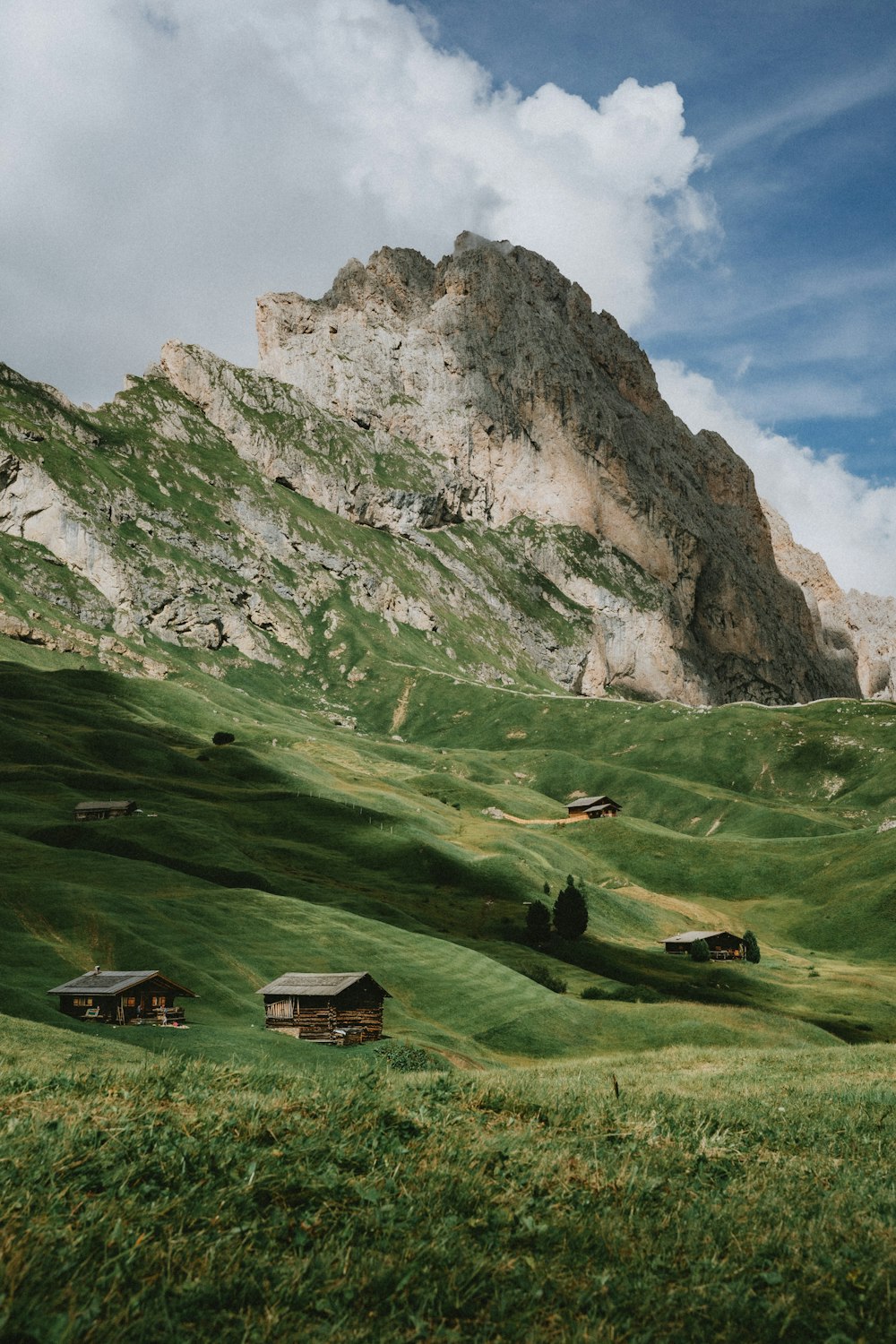 a grassy field with a mountain in the background