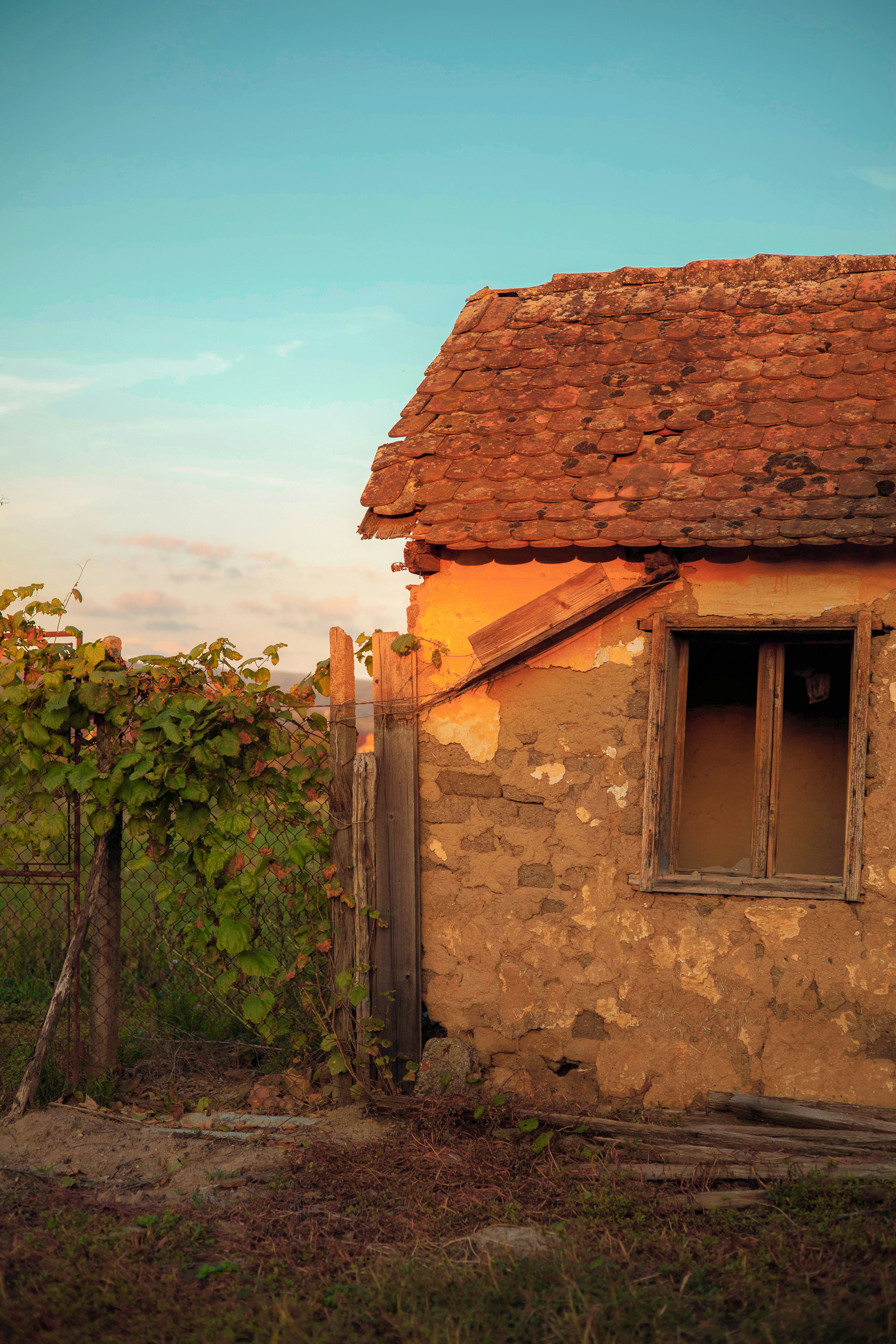 Photo by roscoadrian