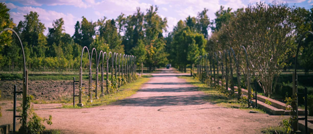 A serene garden path symbolizing a clear journey toward mental well-being.