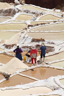 Several people are working in terraced salt pans, surrounded by piles of salt. They are wearing hats and boots, and one person is carrying a yellow container.