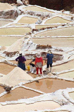 Several people are working in terraced salt pans, surrounded by piles of salt. They are wearing hats and boots, and one person is carrying a yellow container.