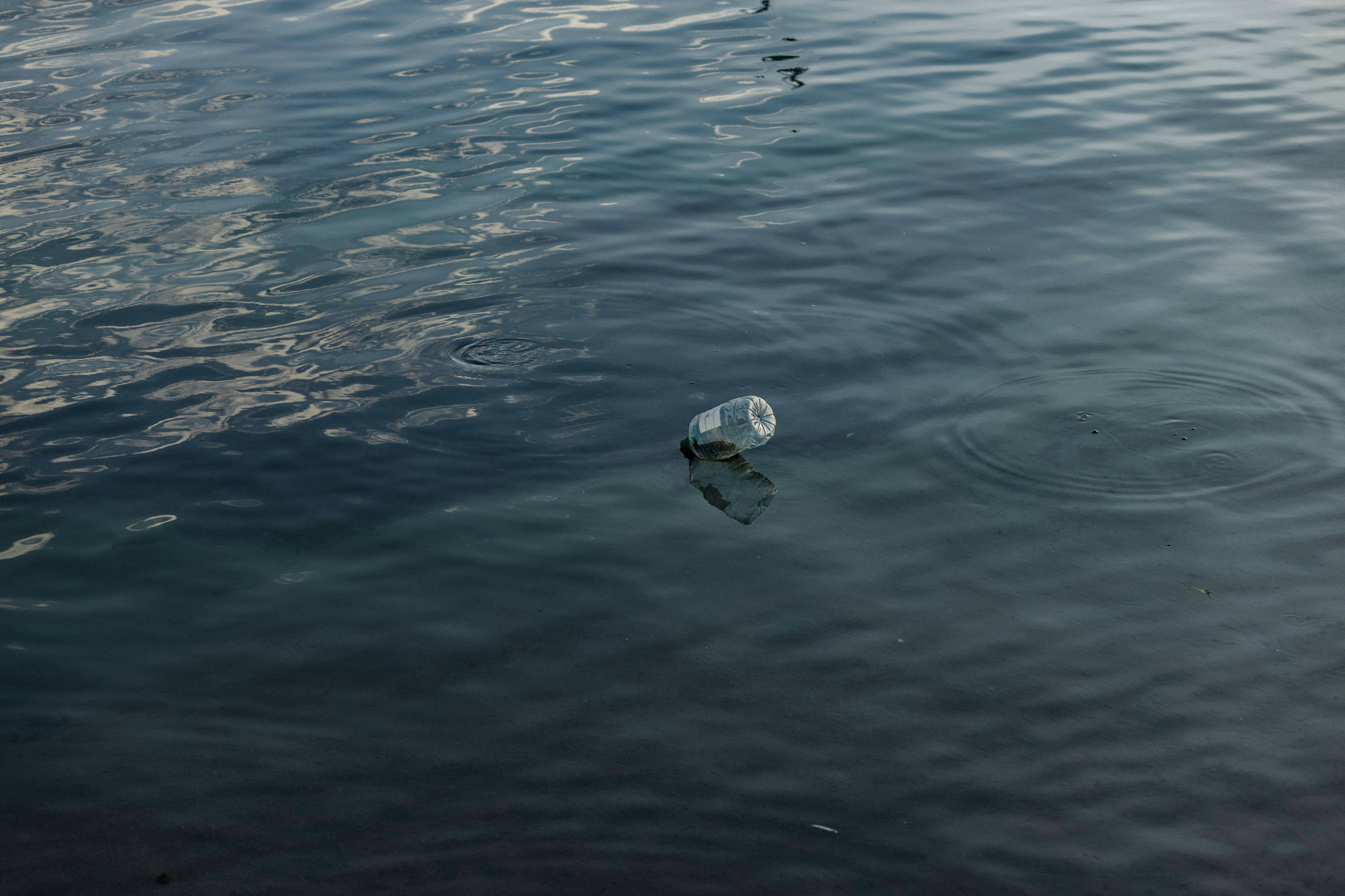 Photo by 1hundredimages