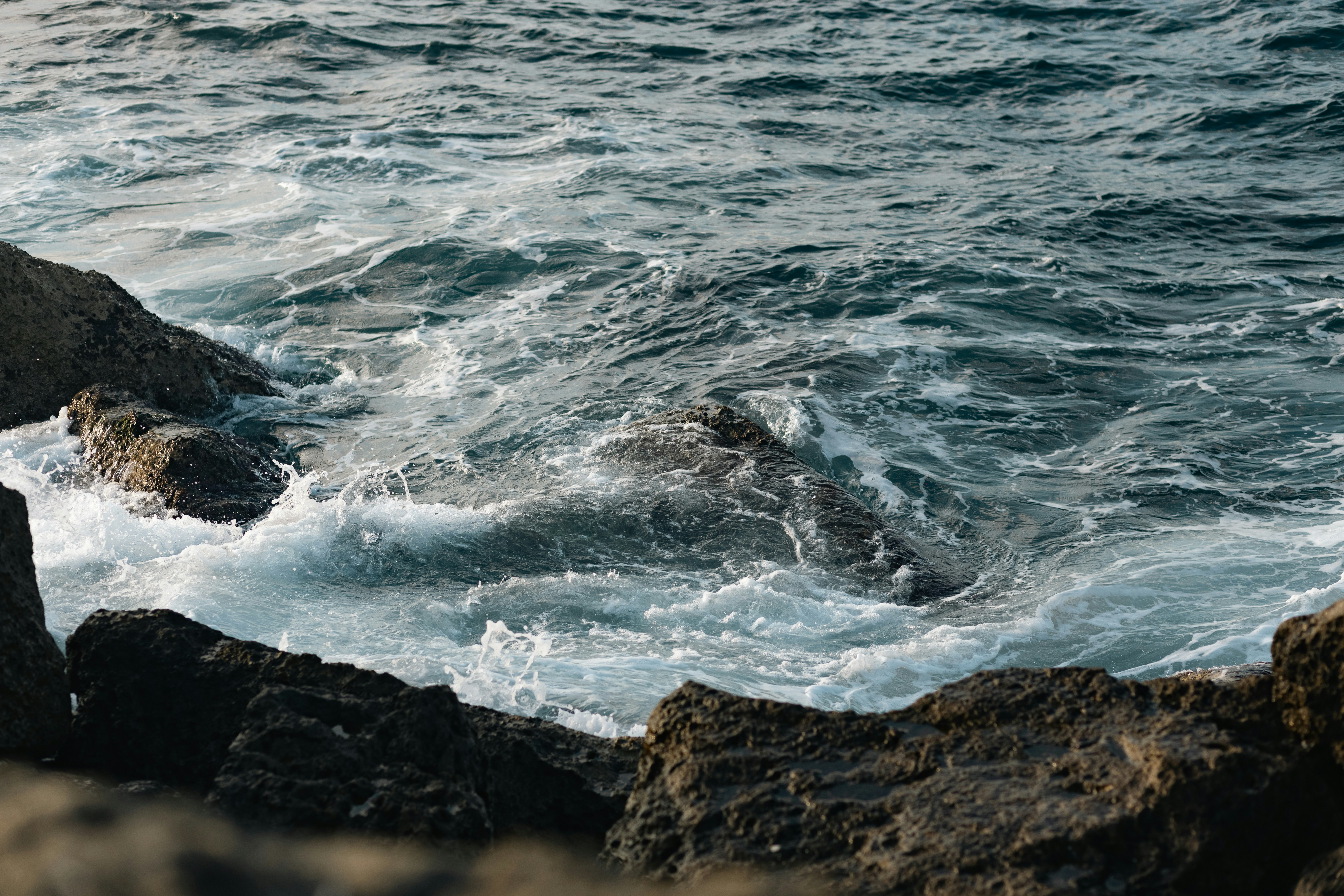 a bird sitting on top of a rock next to the ocean