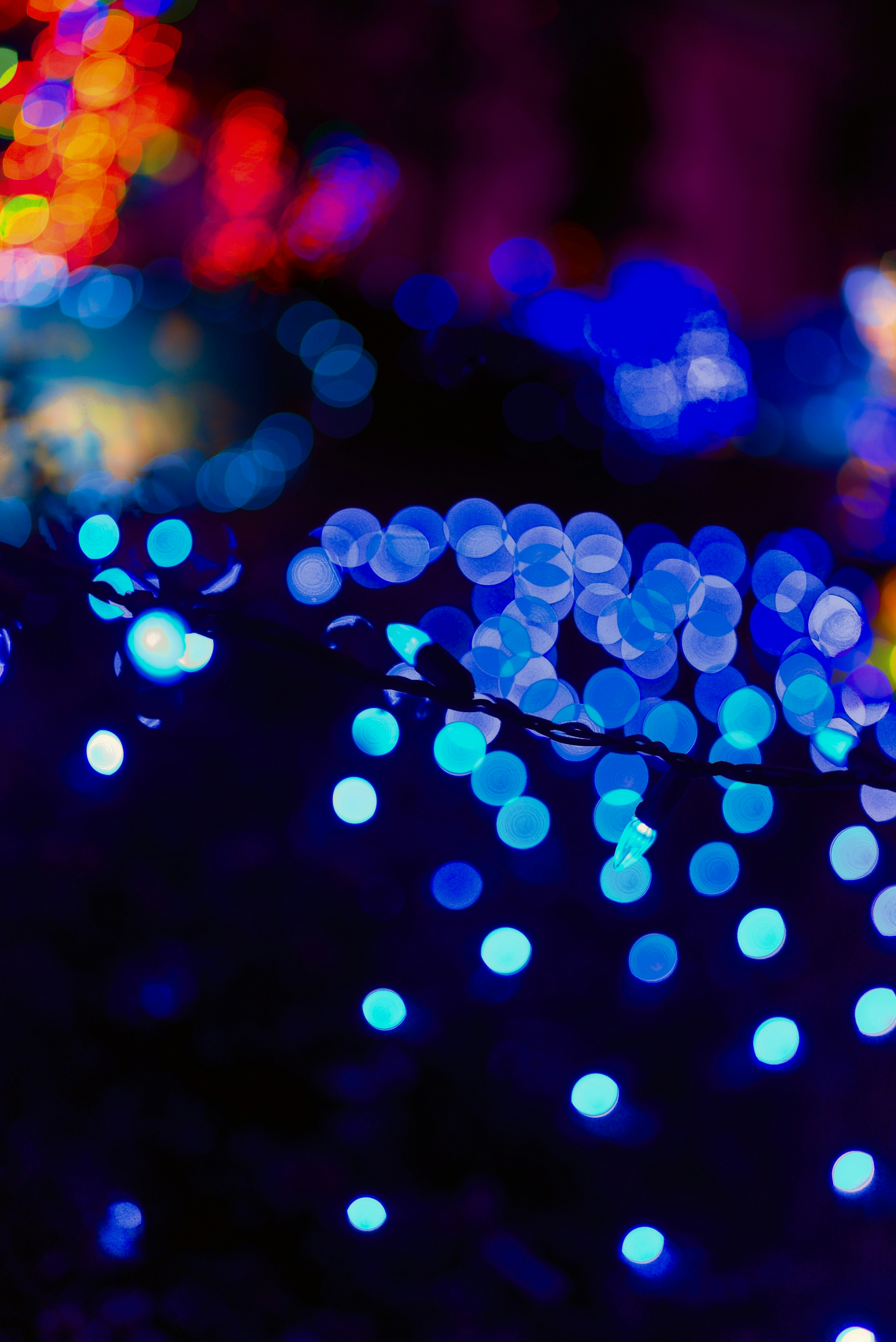 Photo by donovandeanphoto