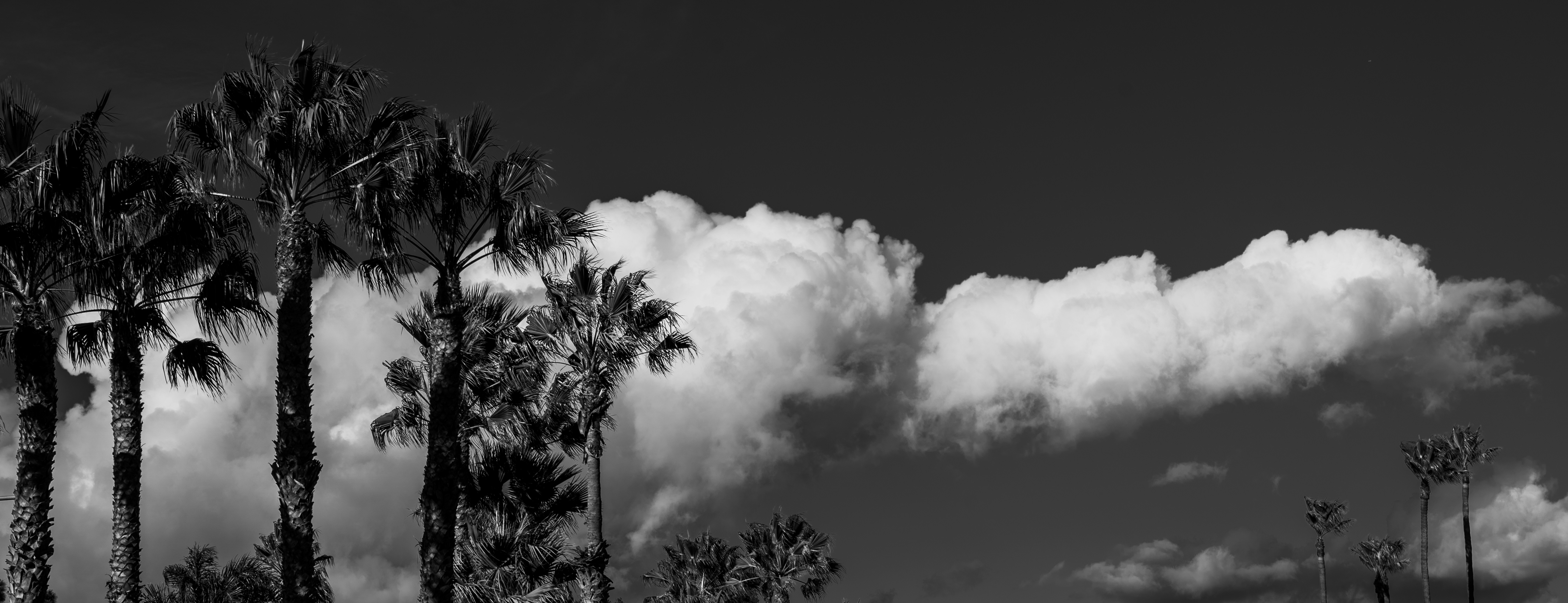 Photo by earl_plannerzone