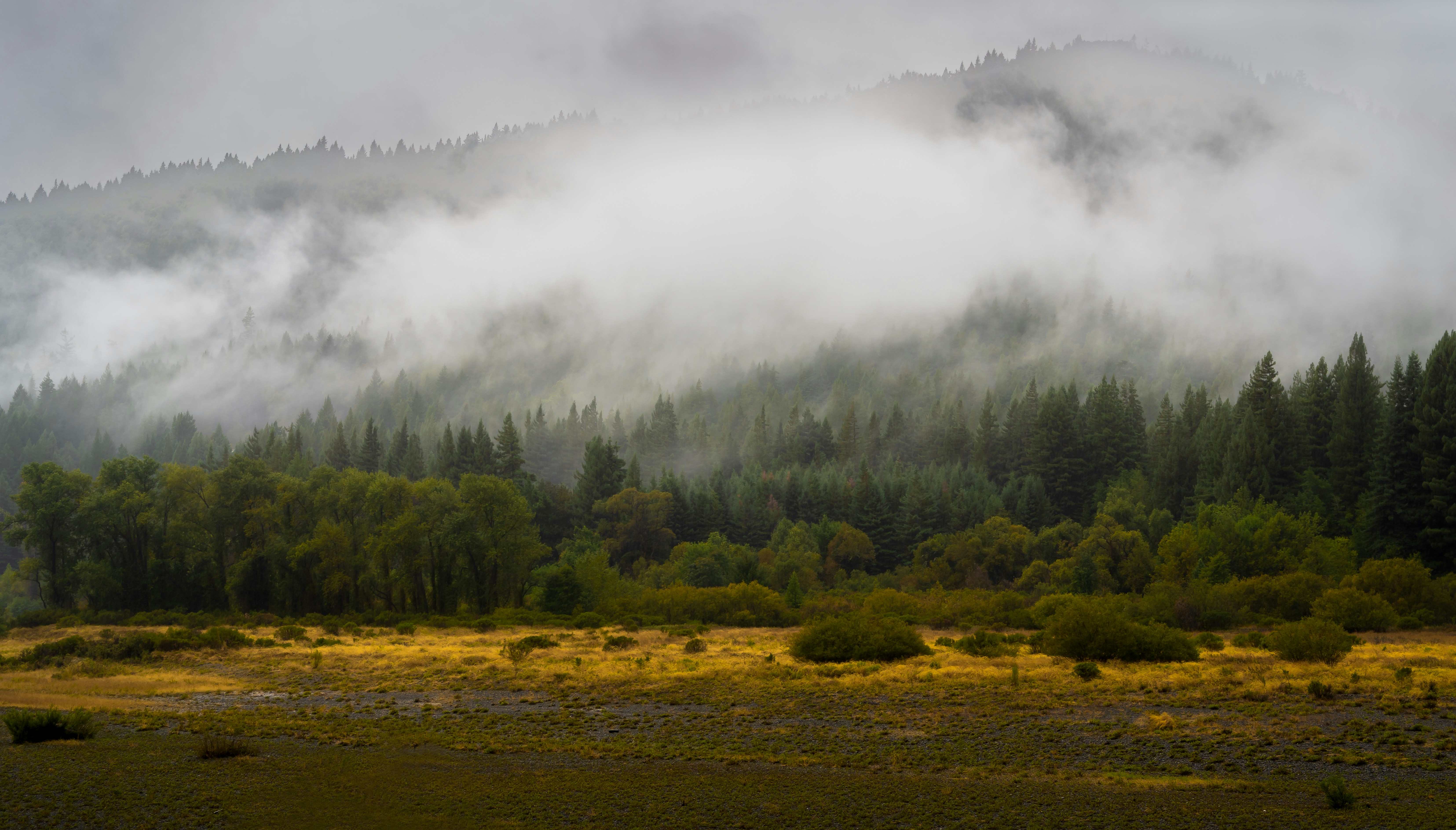 Photo by earl_plannerzone