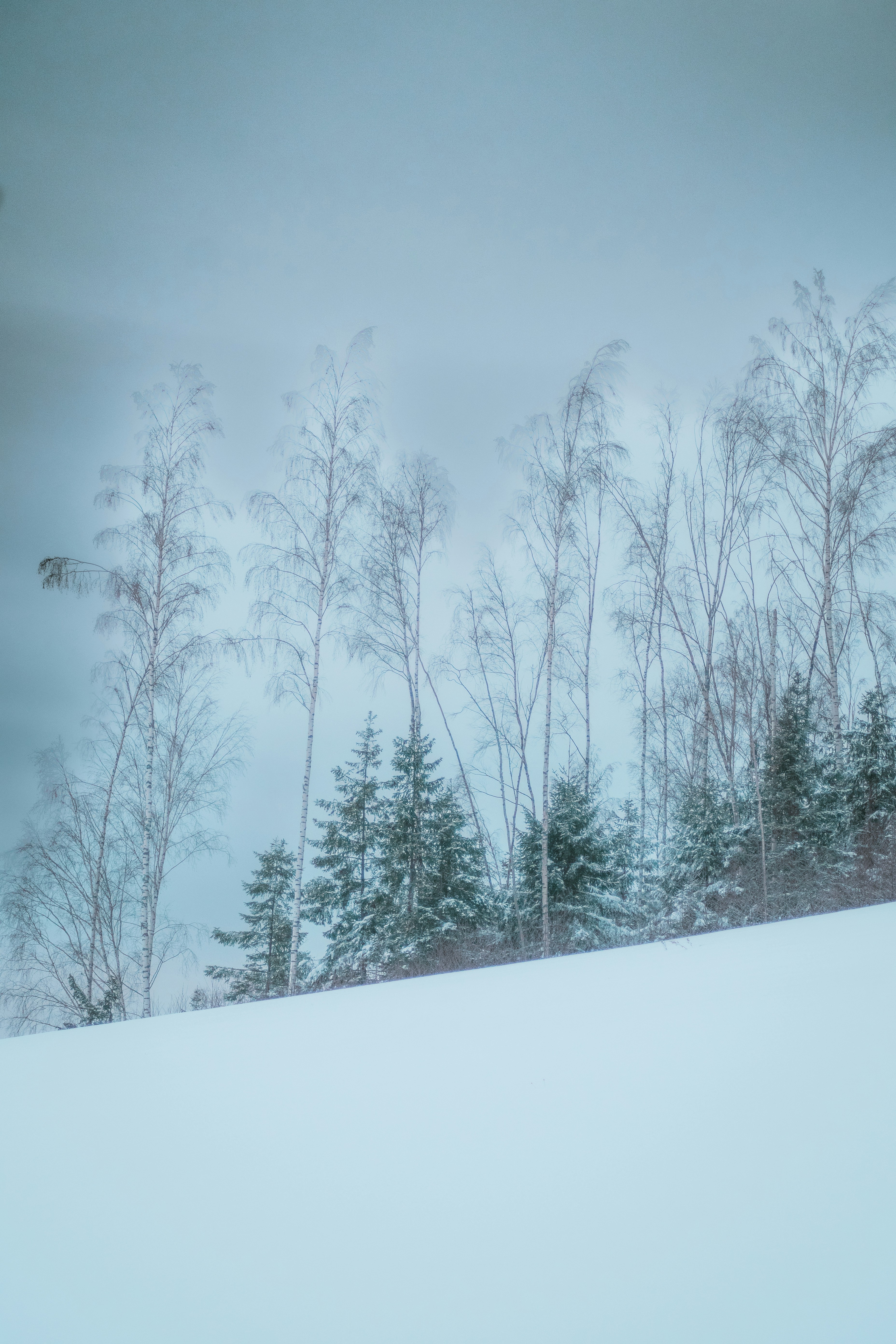 Photo by ainarscekuls