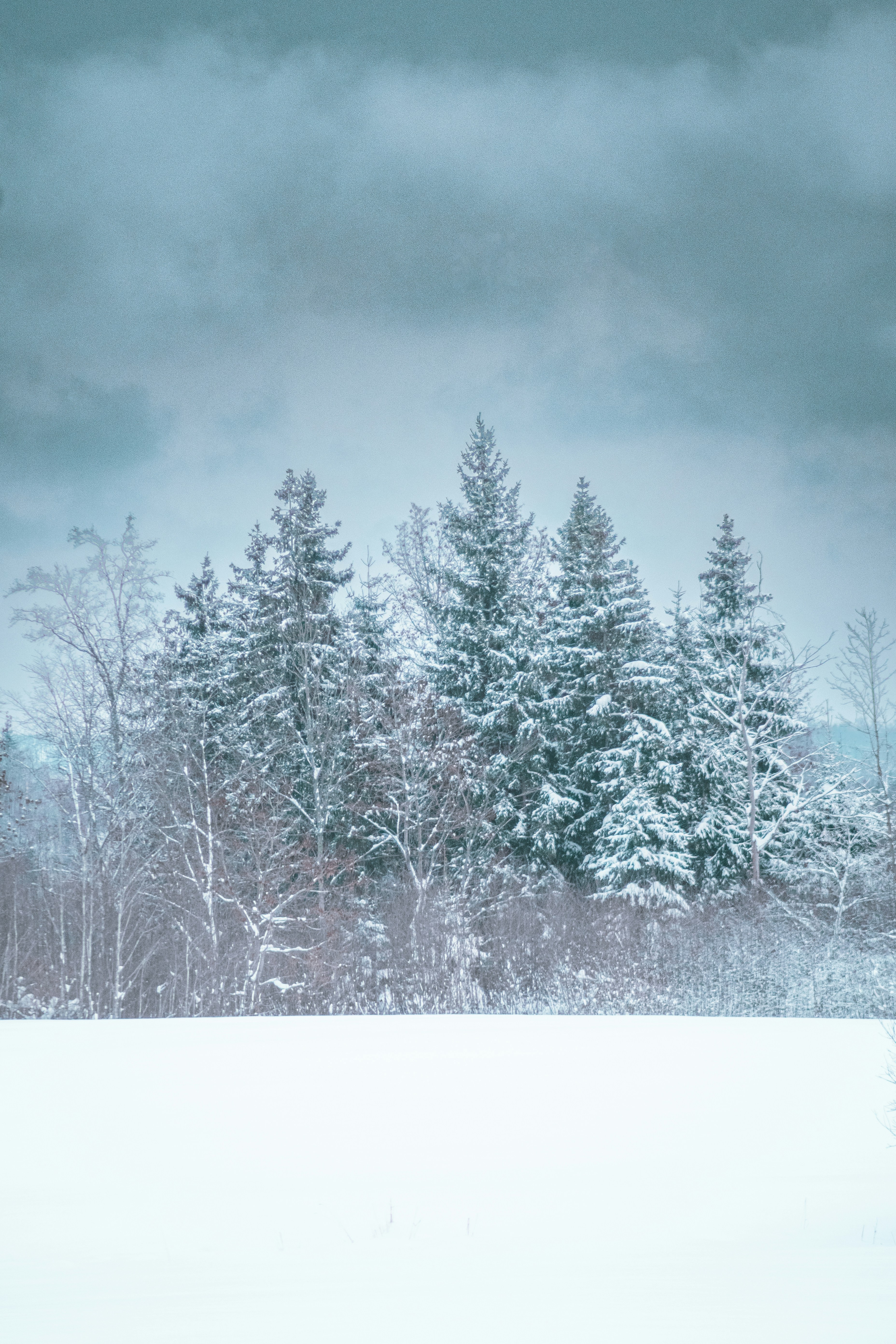 Photo by ainarscekuls